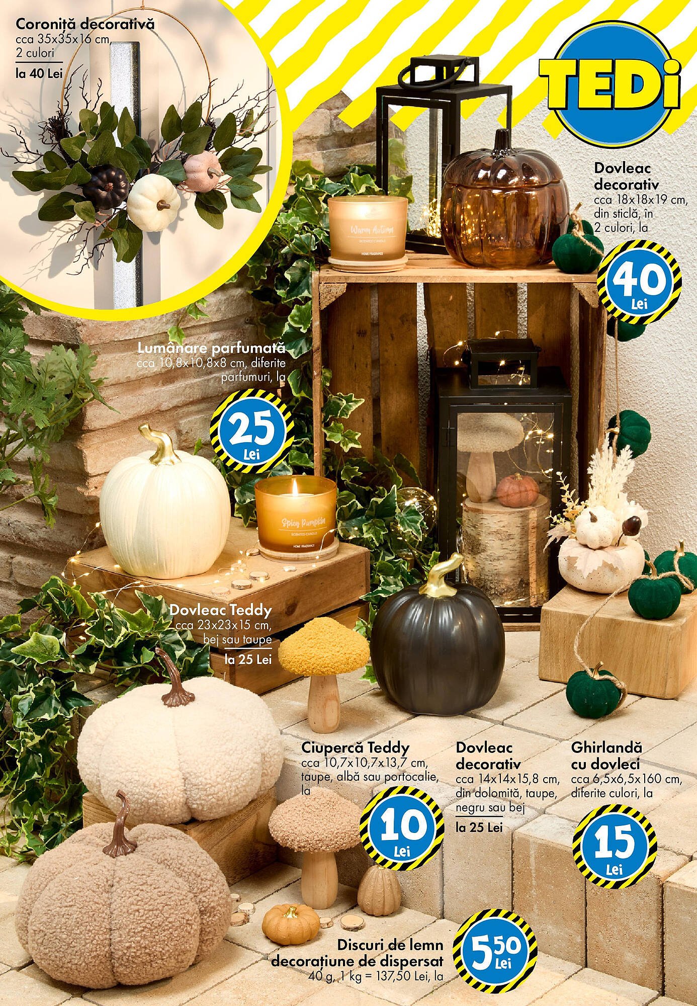 Catalog TEDI