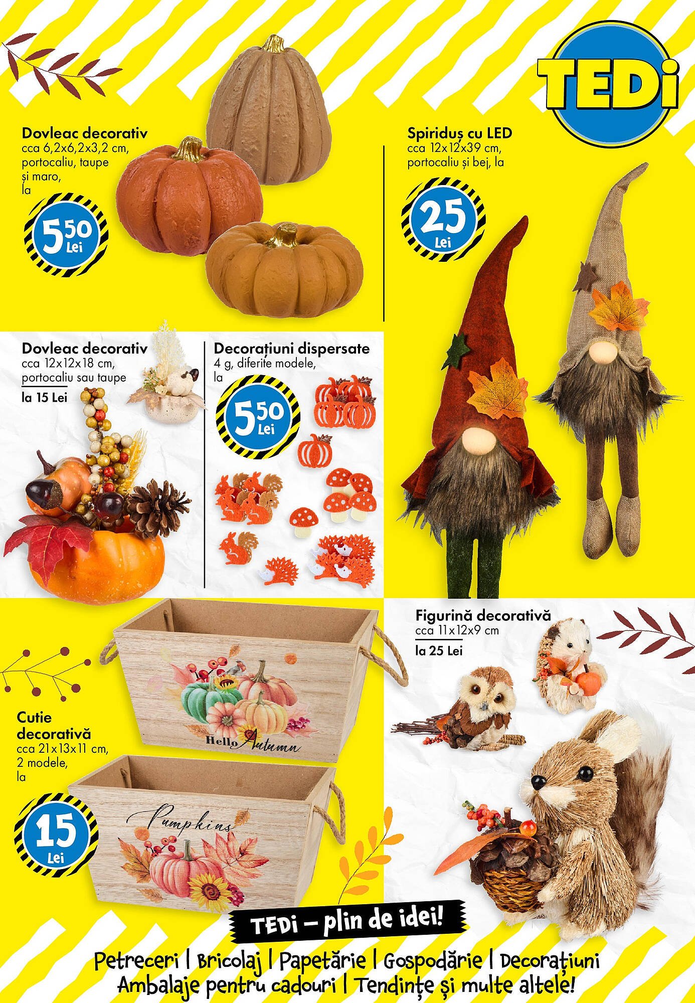 Catalog TEDI