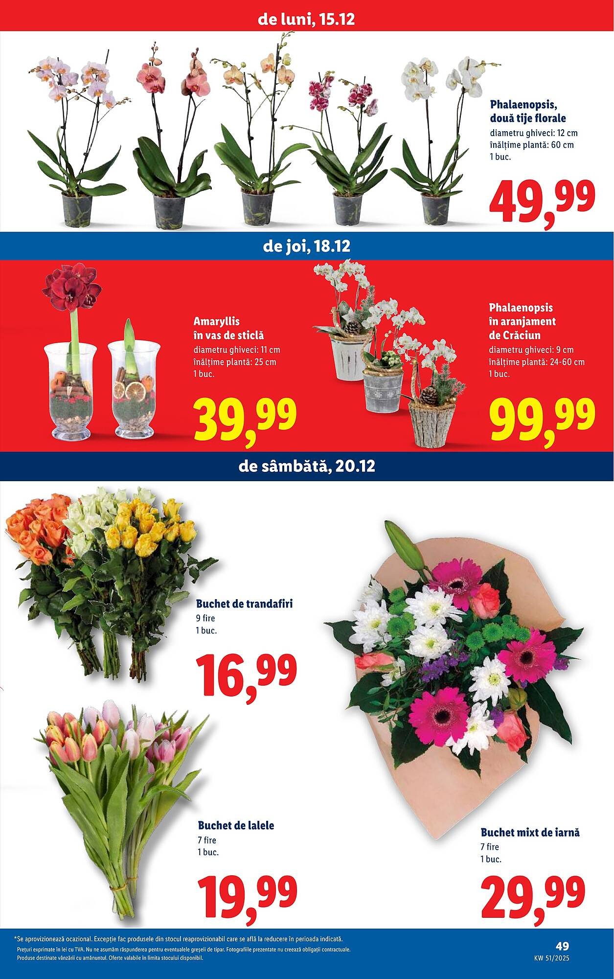 Catalog Lidl