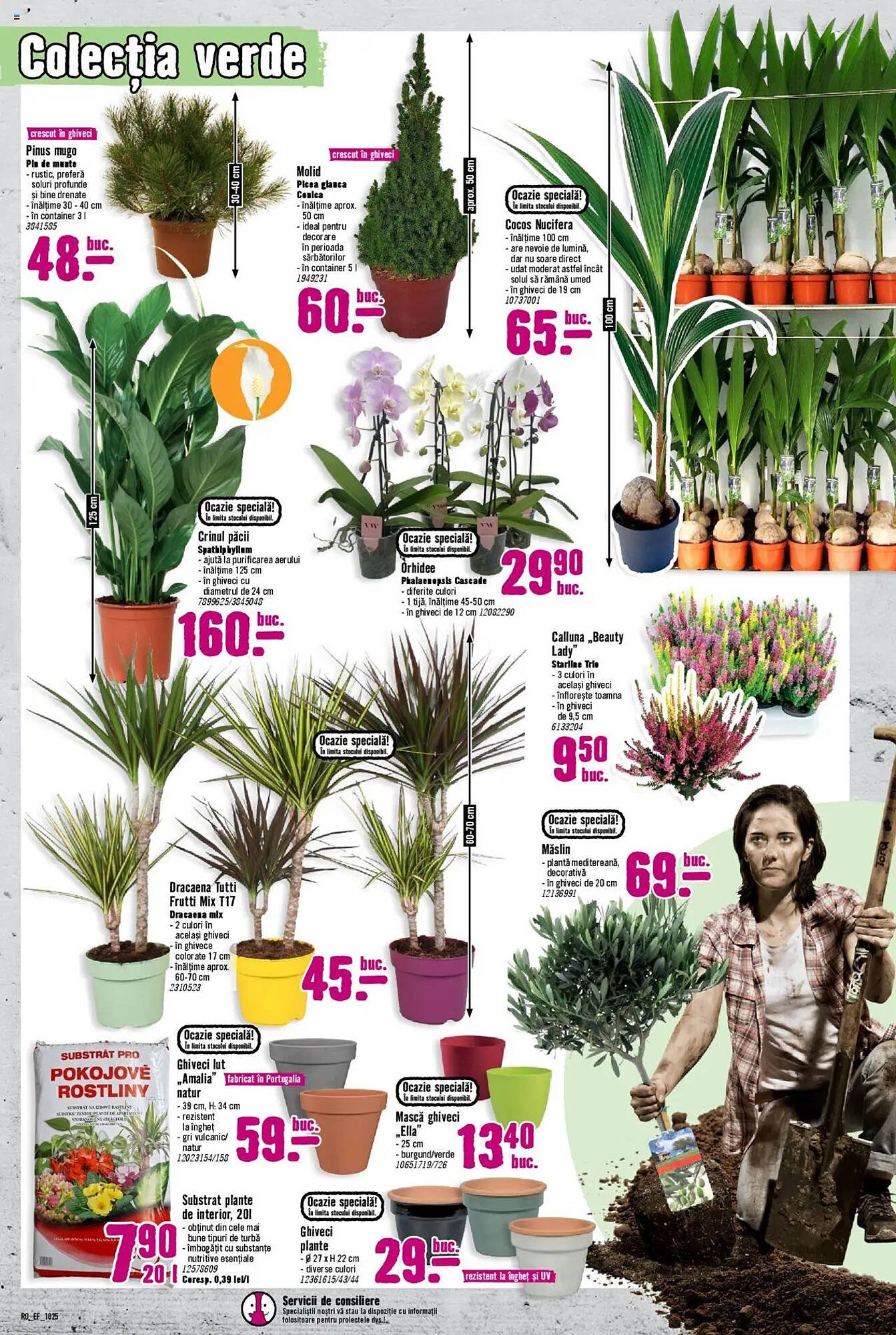 Magazine Hornbach