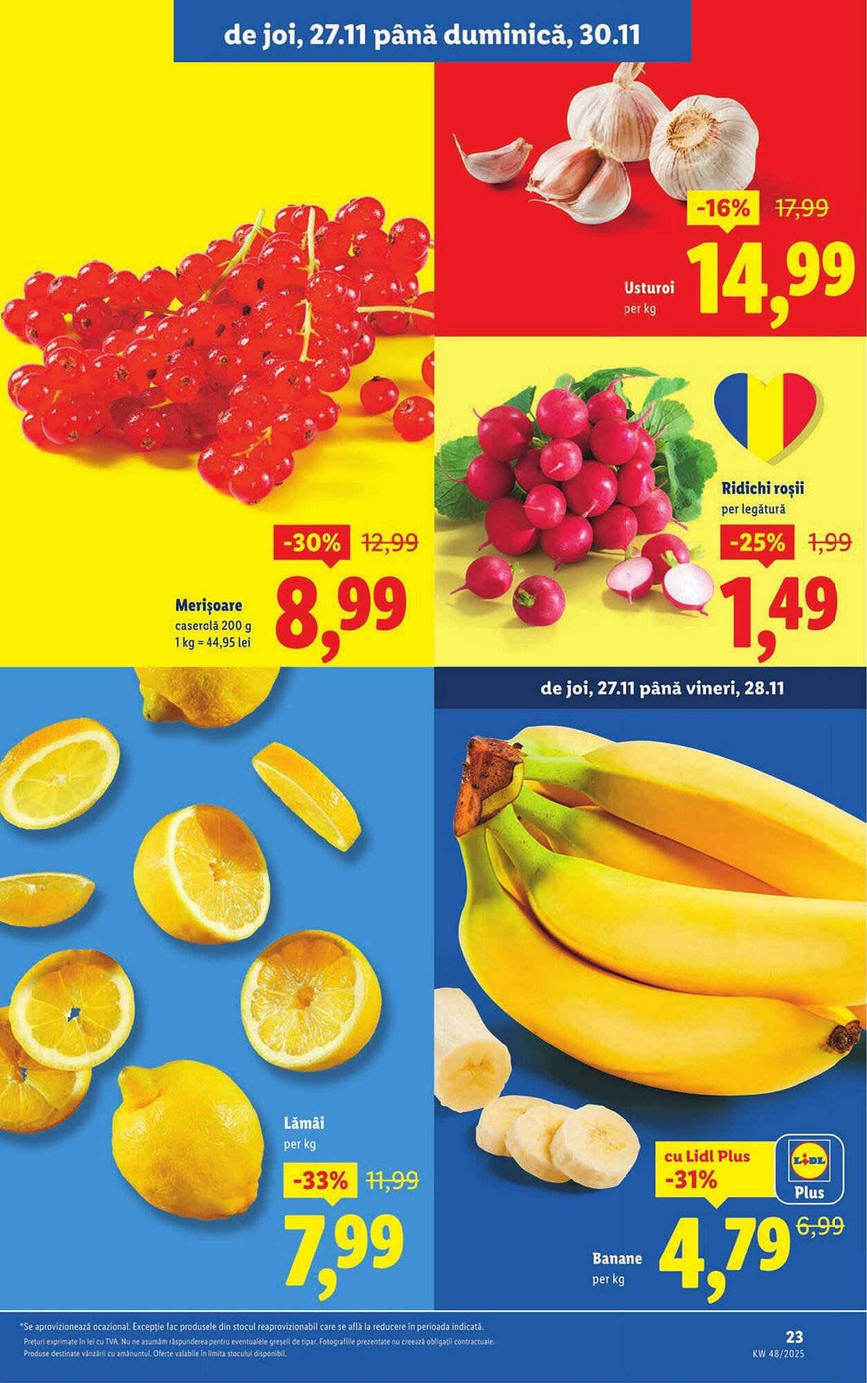 Catalog Lidl