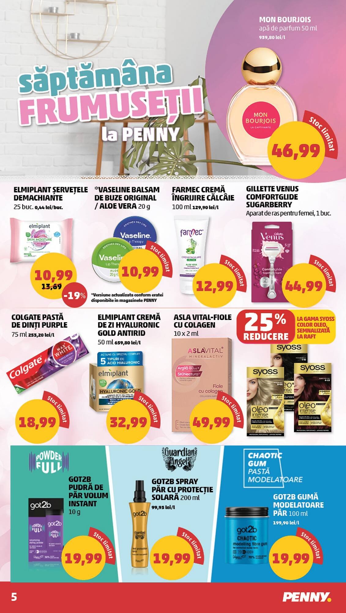 Catalog Penny