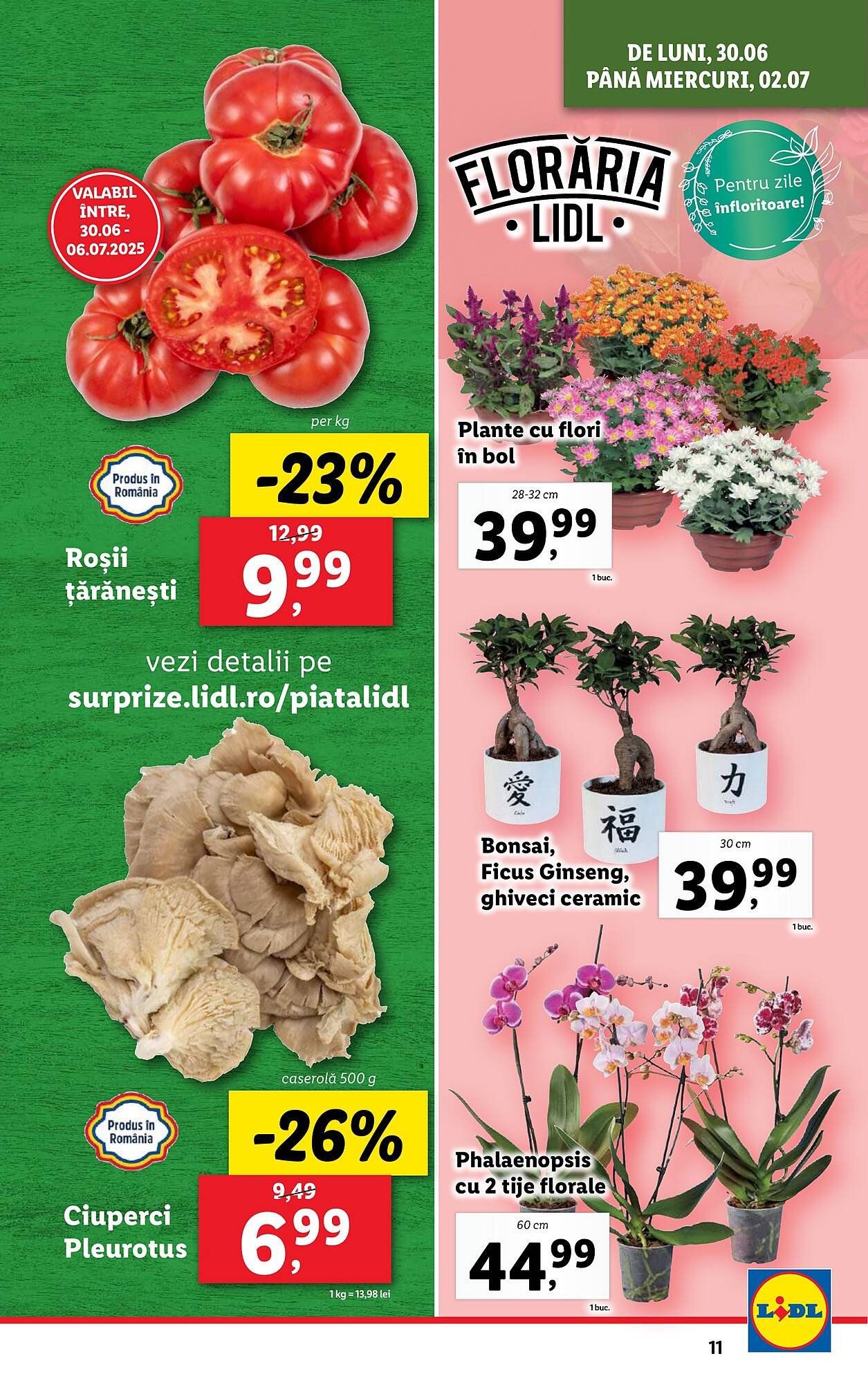 Catalog Lidl