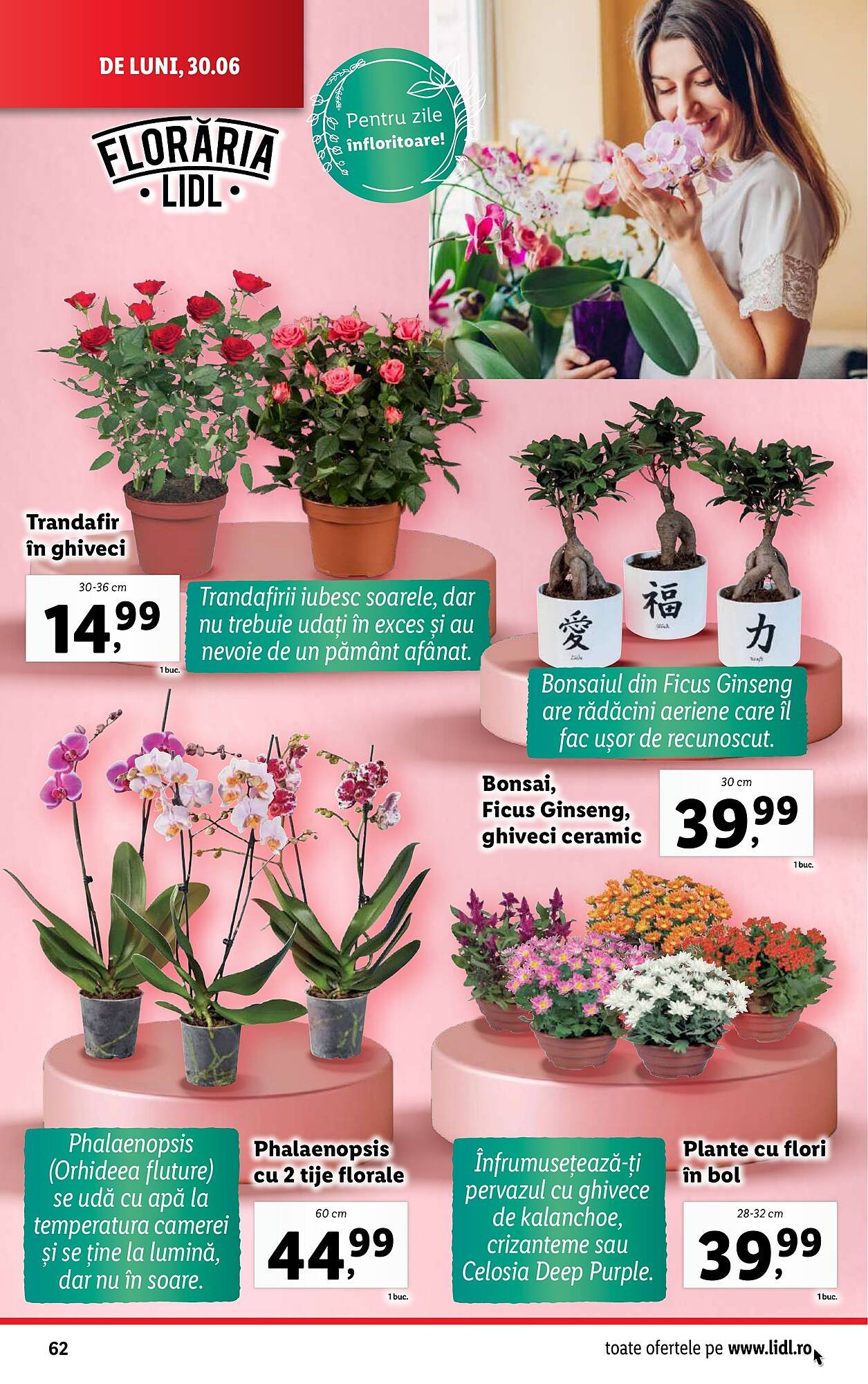 Catalog Lidl