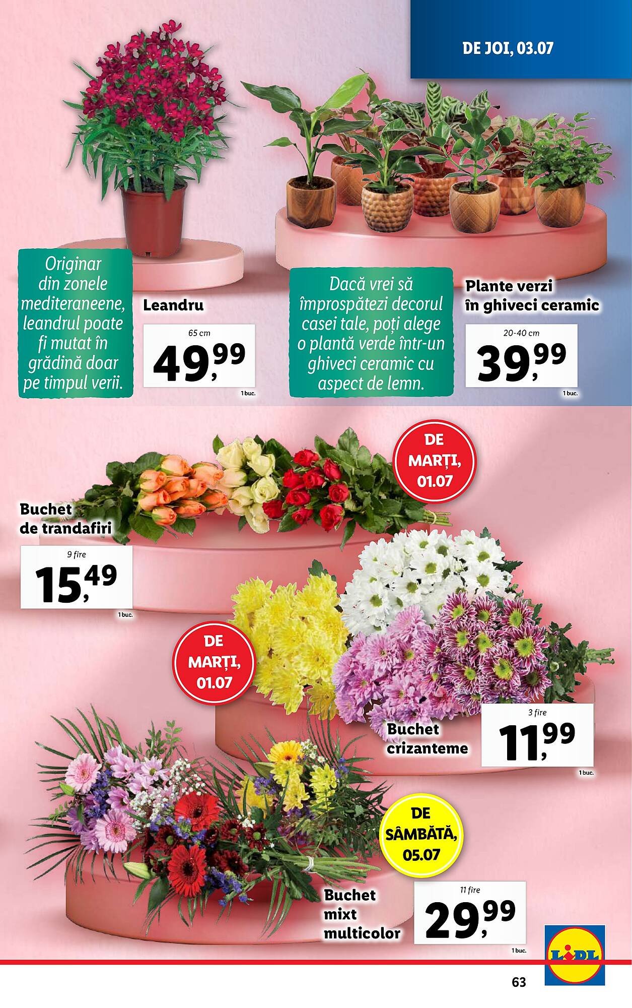 Catalog Lidl