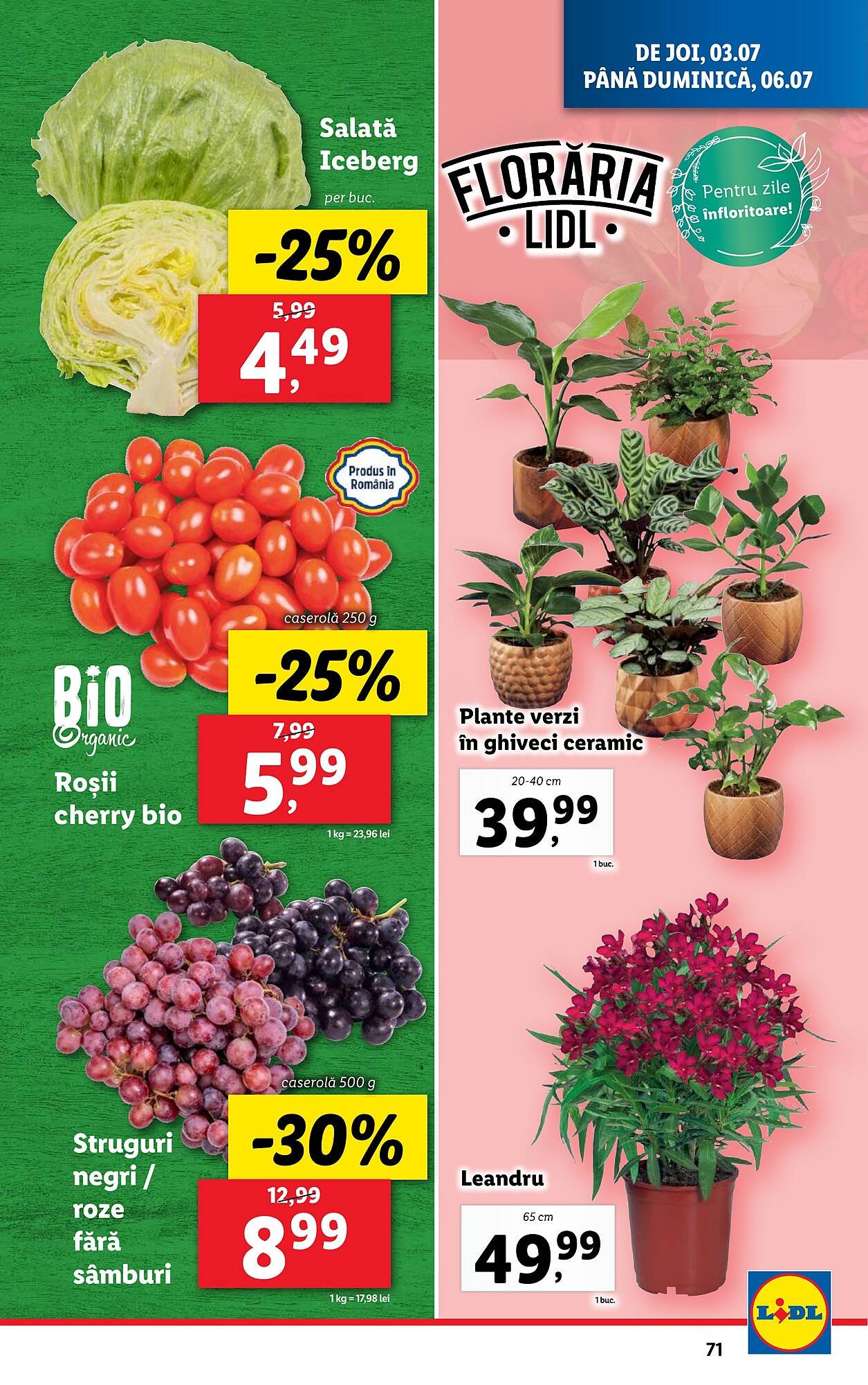 Catalog Lidl