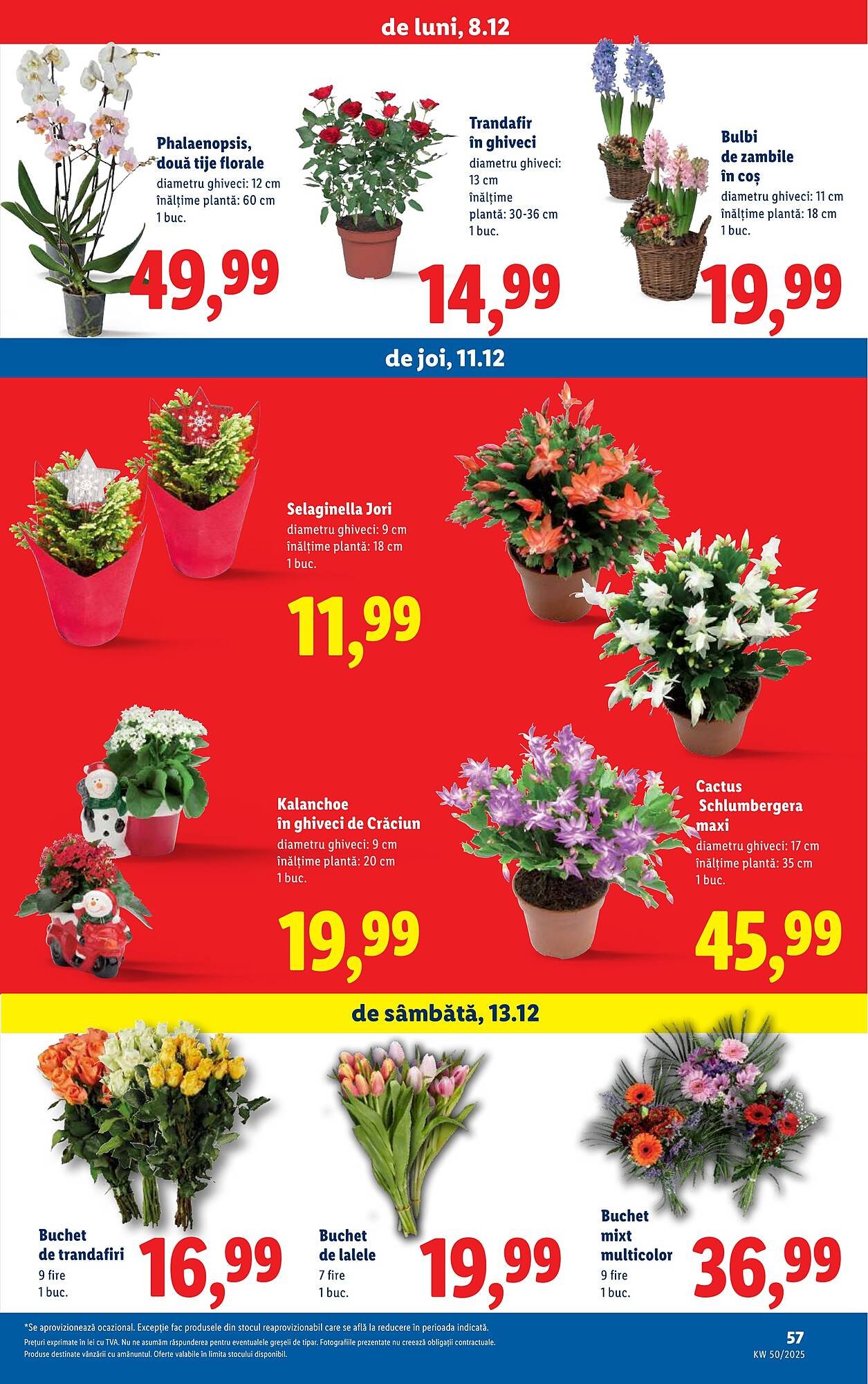 Catalog Lidl