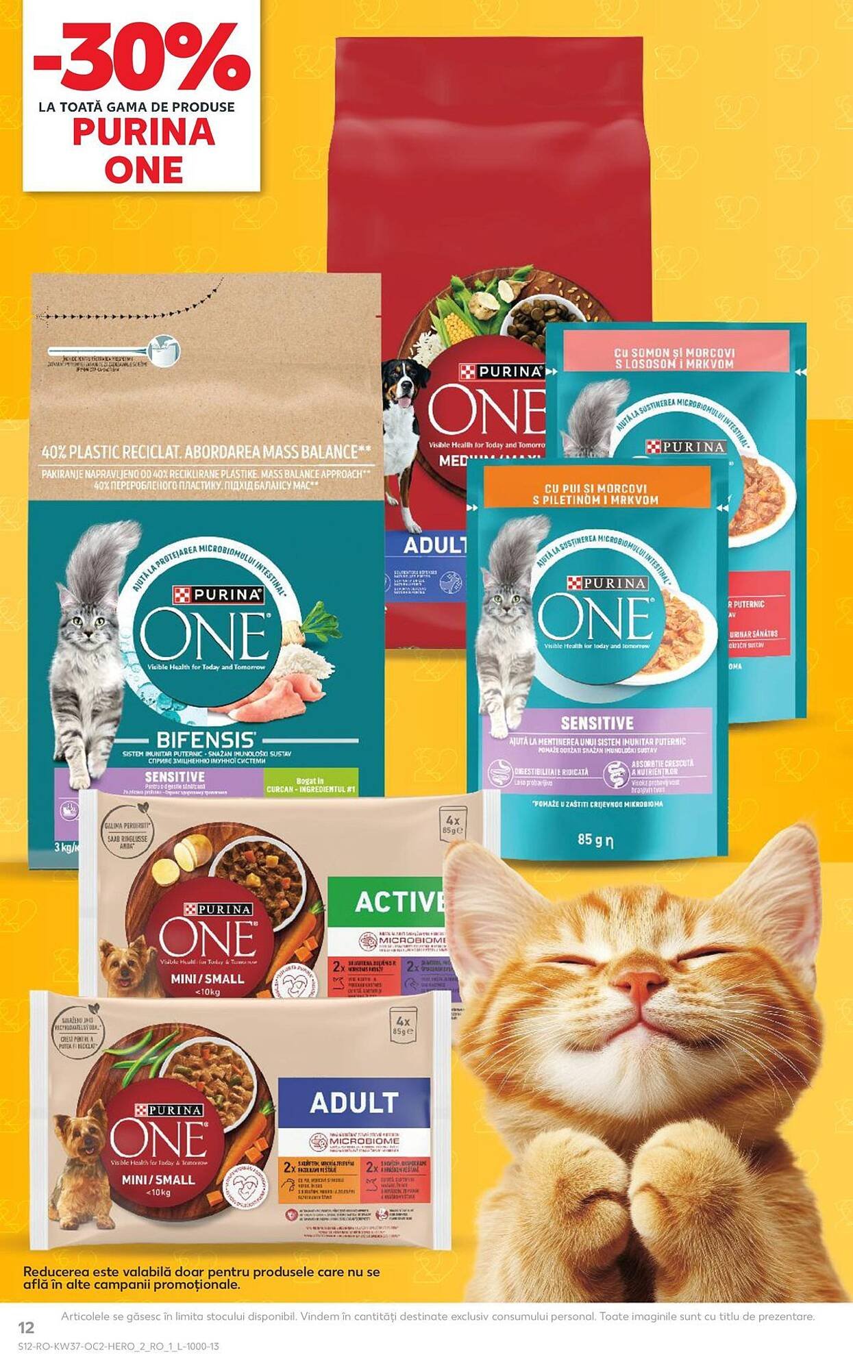 Catalog Kaufland