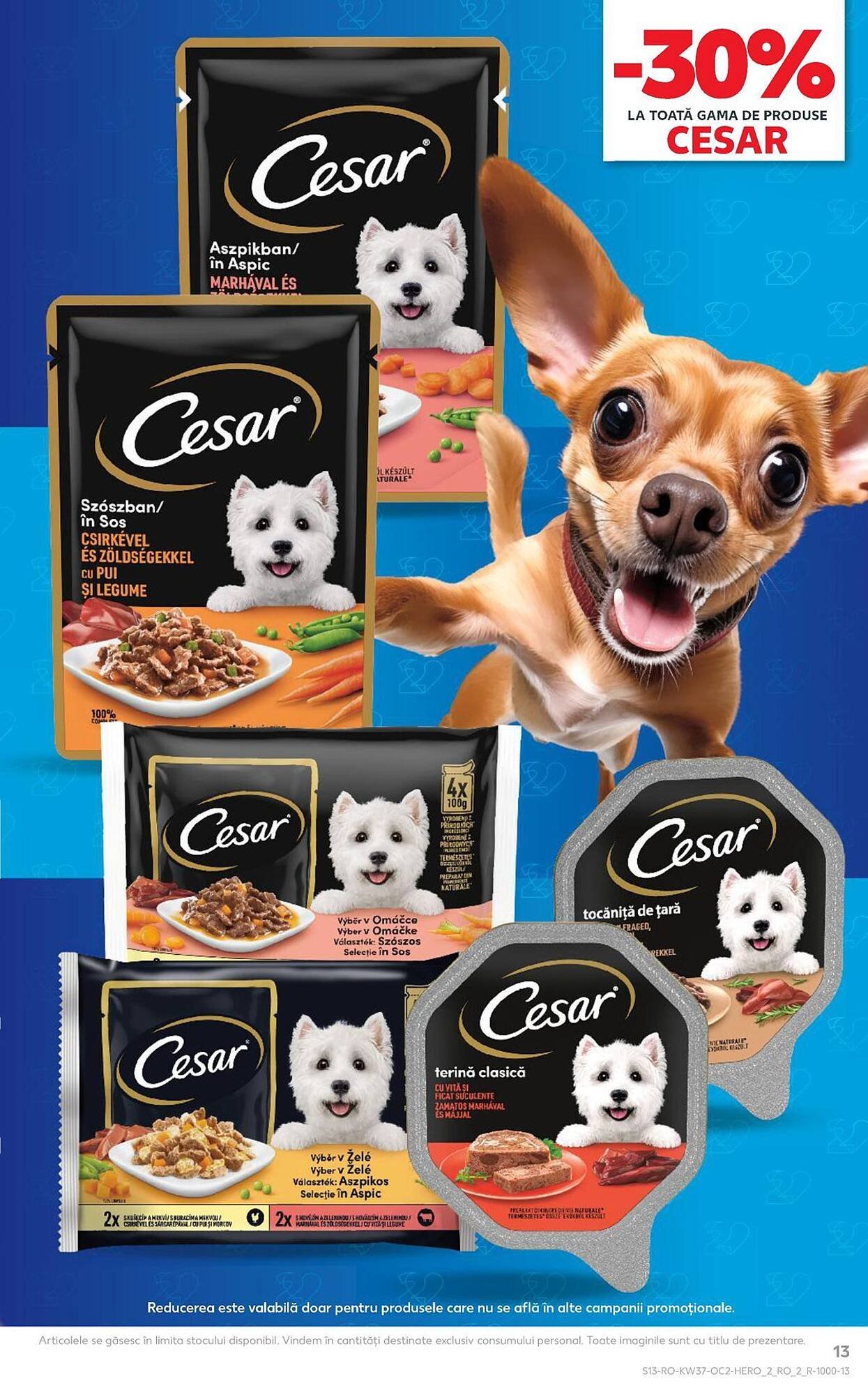 Catalog Kaufland