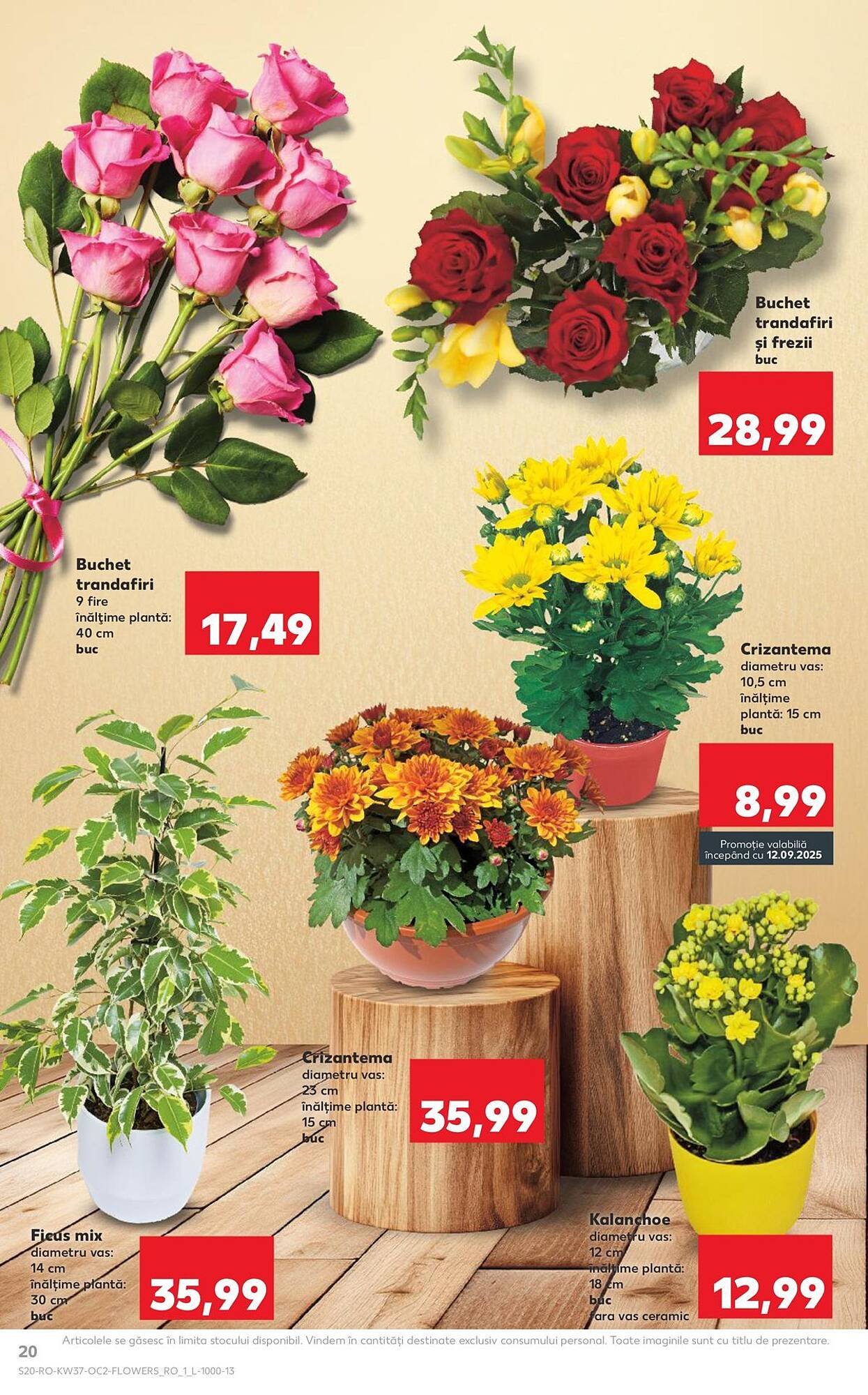 Catalog Kaufland