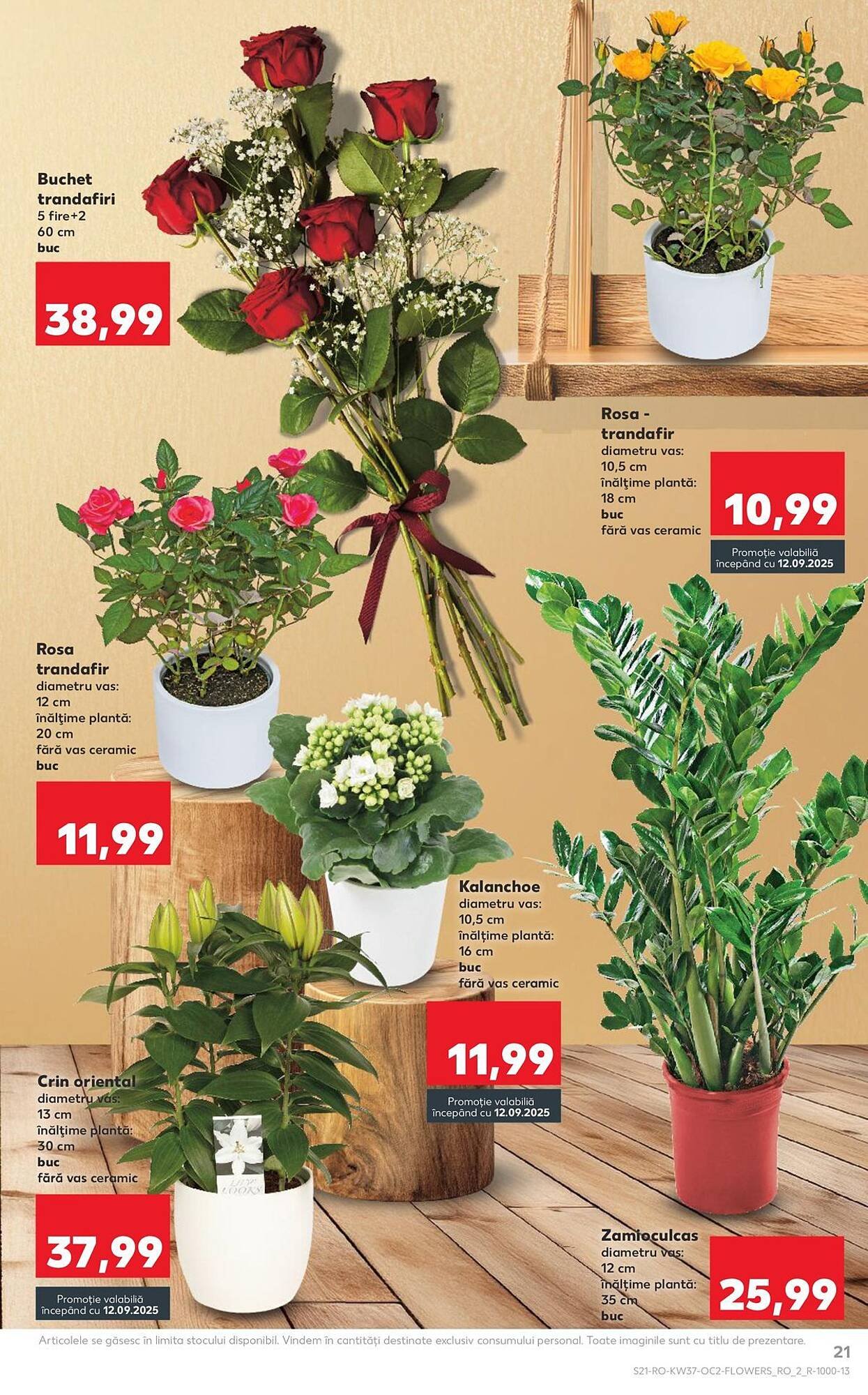 Catalog Kaufland