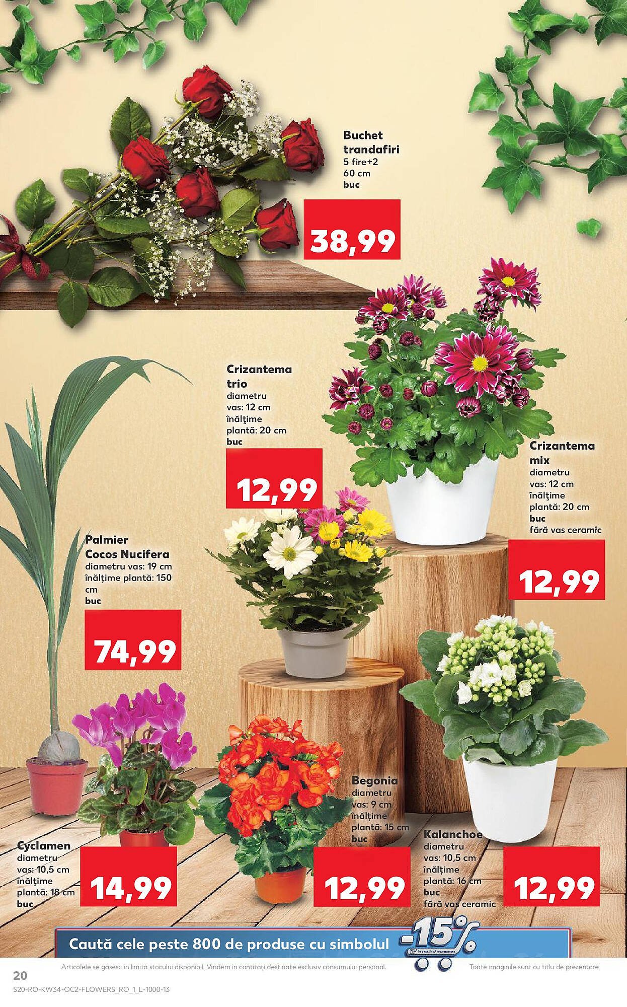 Catalog Kaufland