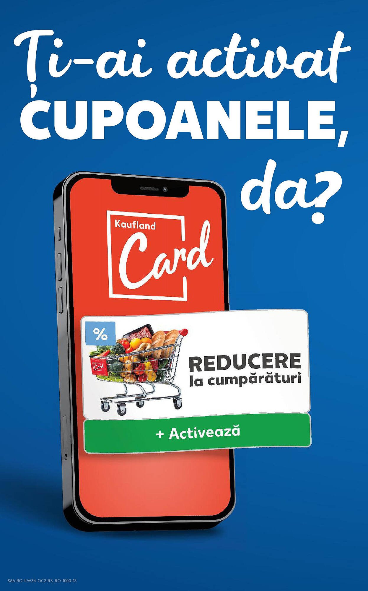 Catalog Kaufland