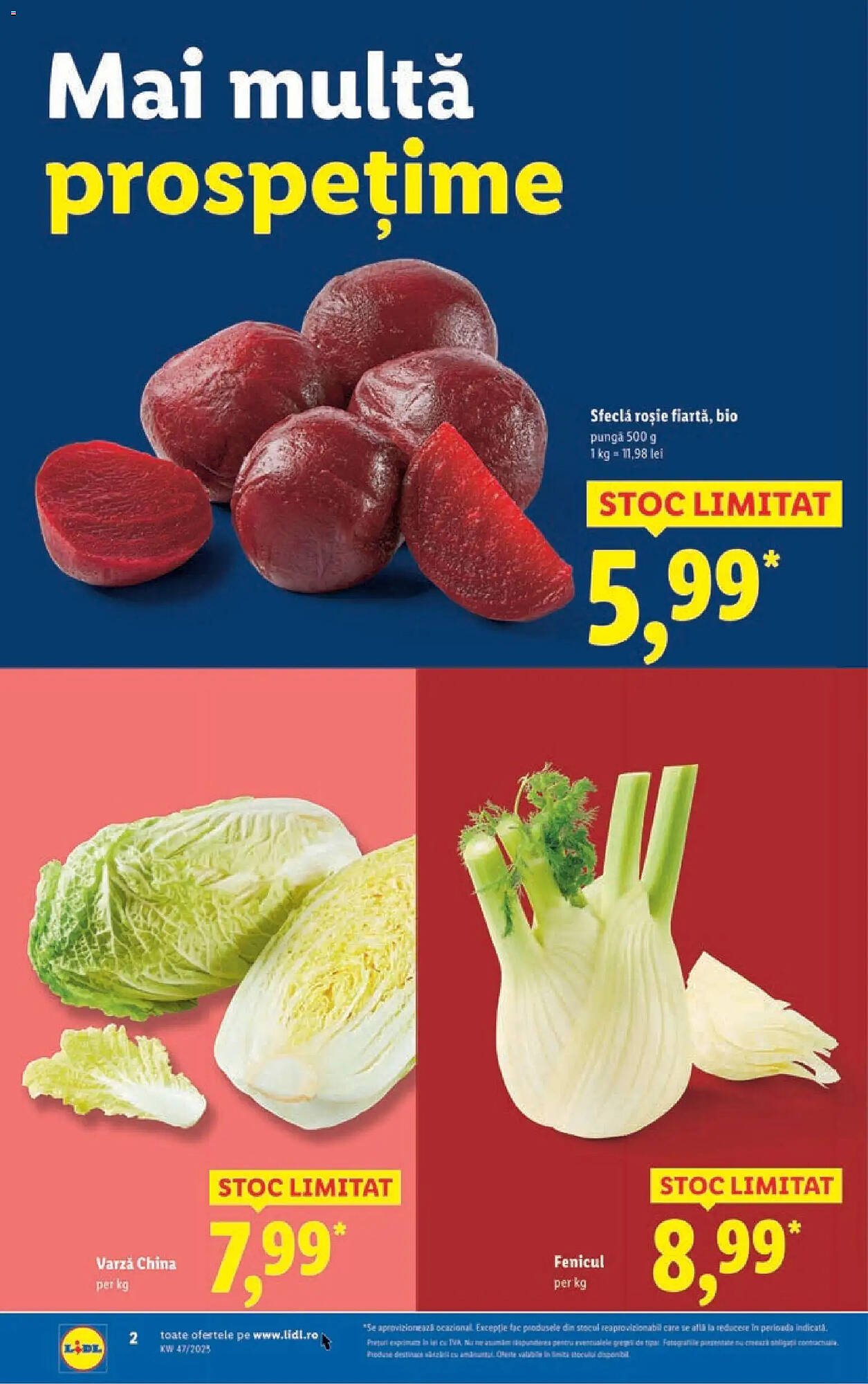Catalog Lidl