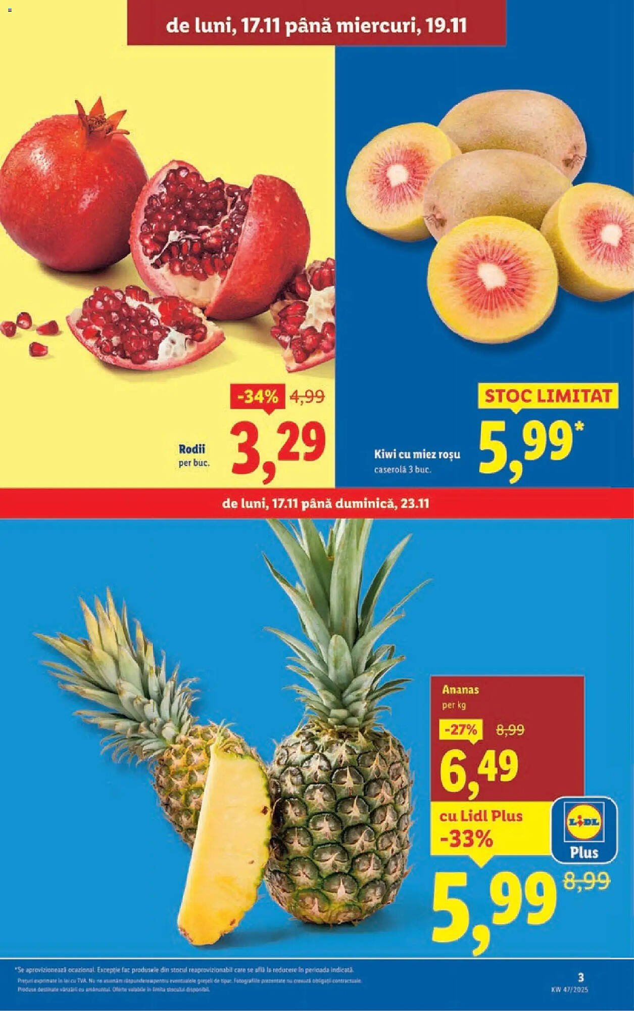 Catalog Lidl