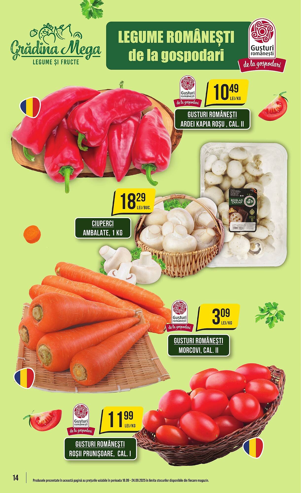 Catalog Mega Image