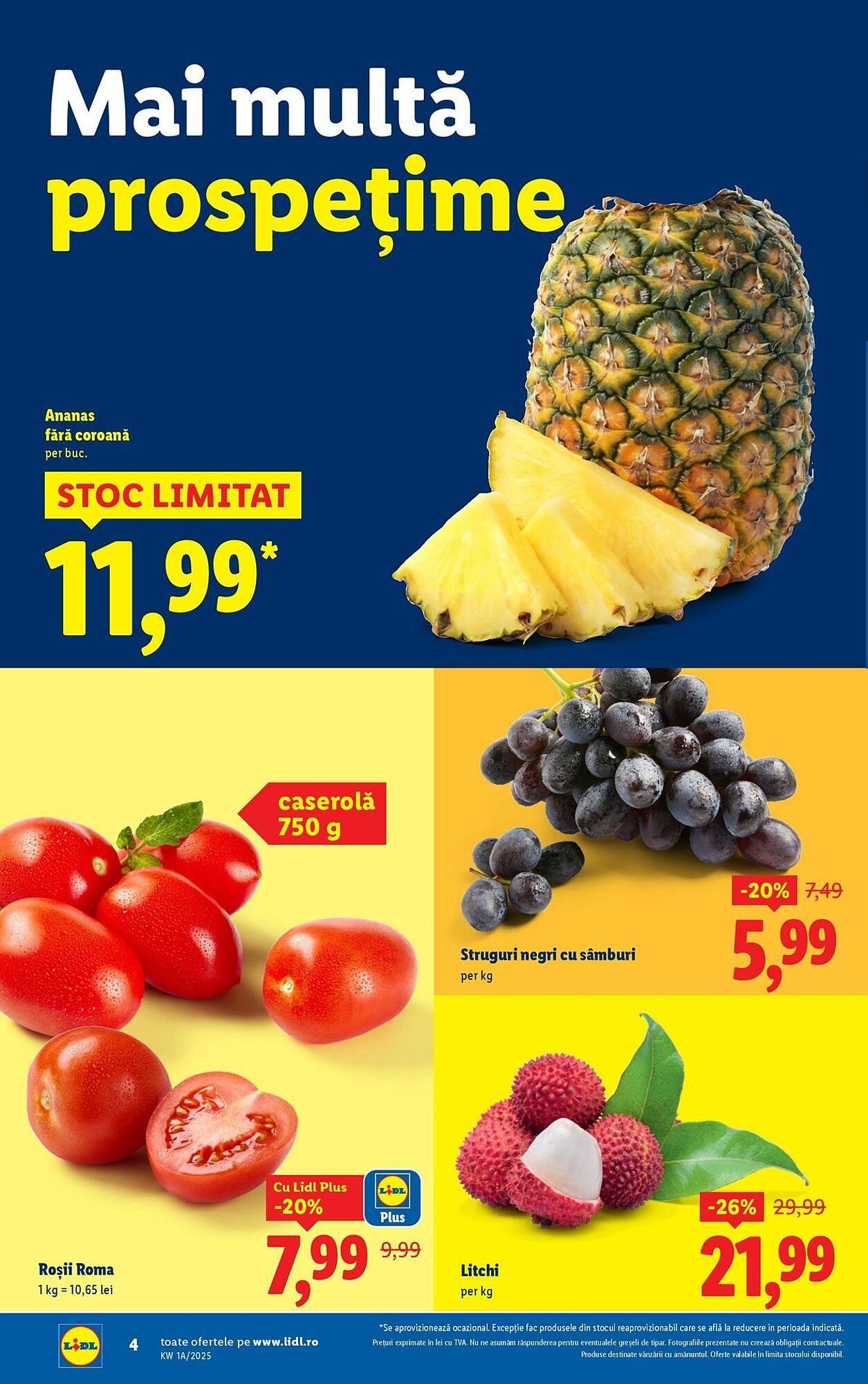 Catalog Lidl