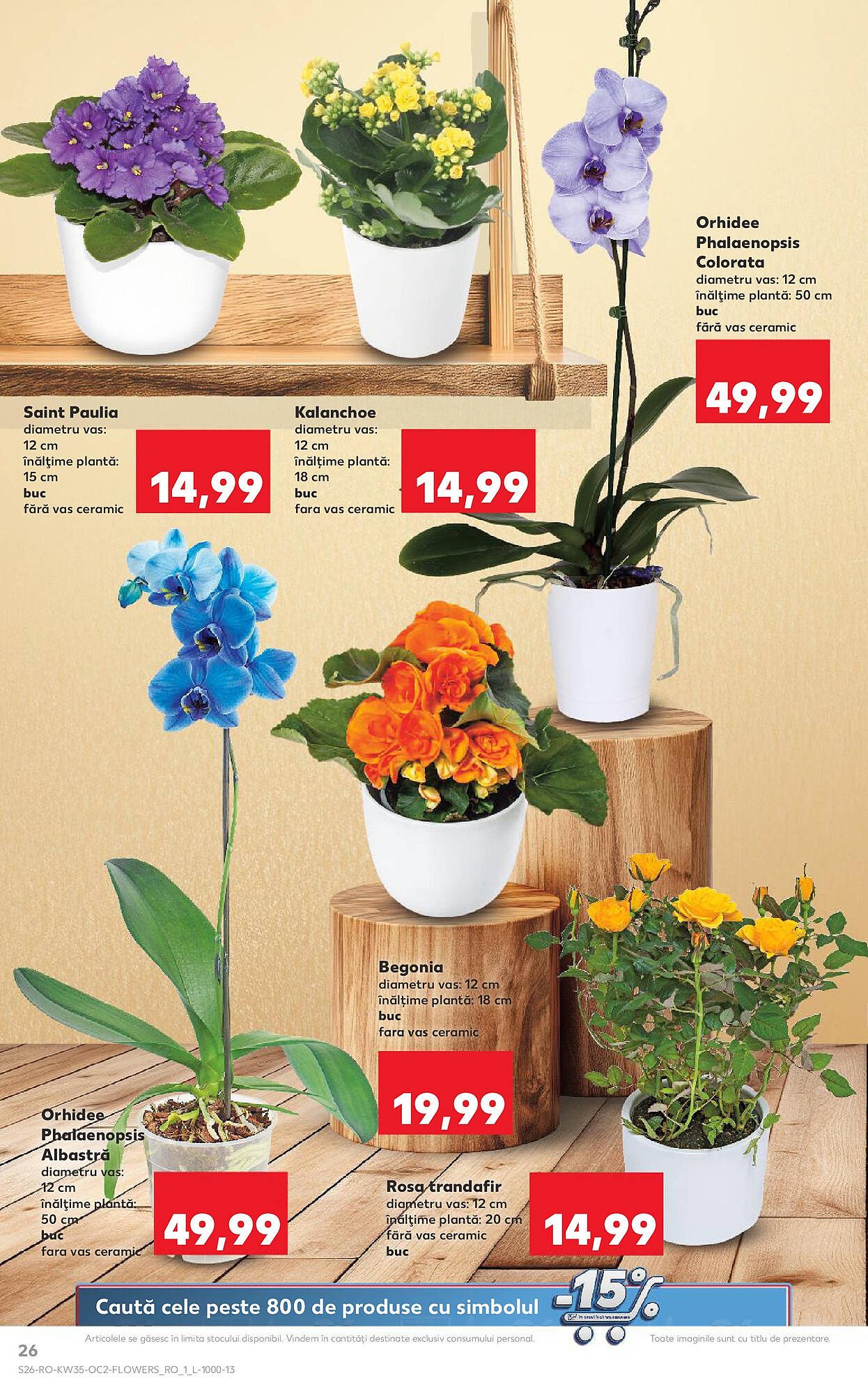 Catalog Kaufland