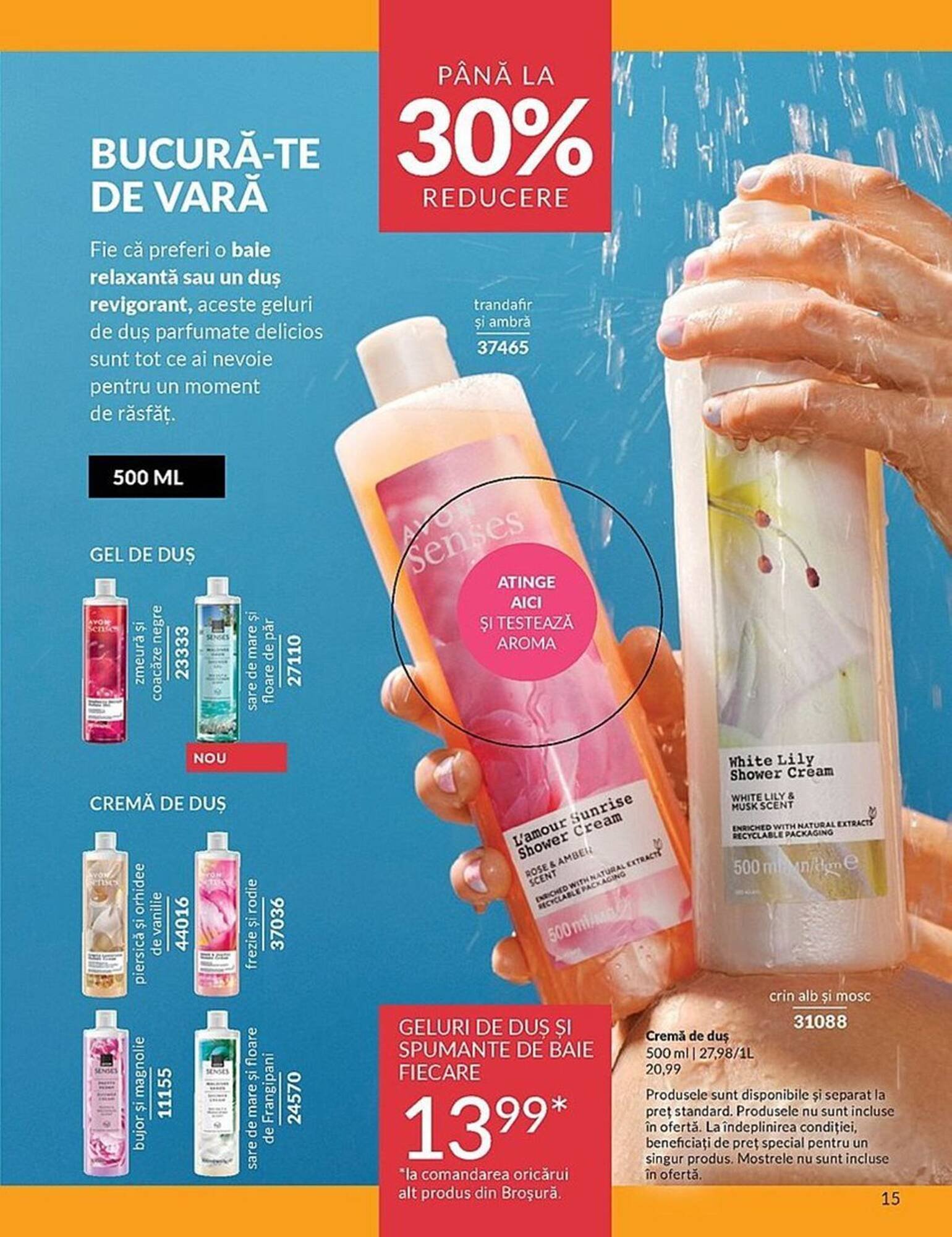Catalog Avon