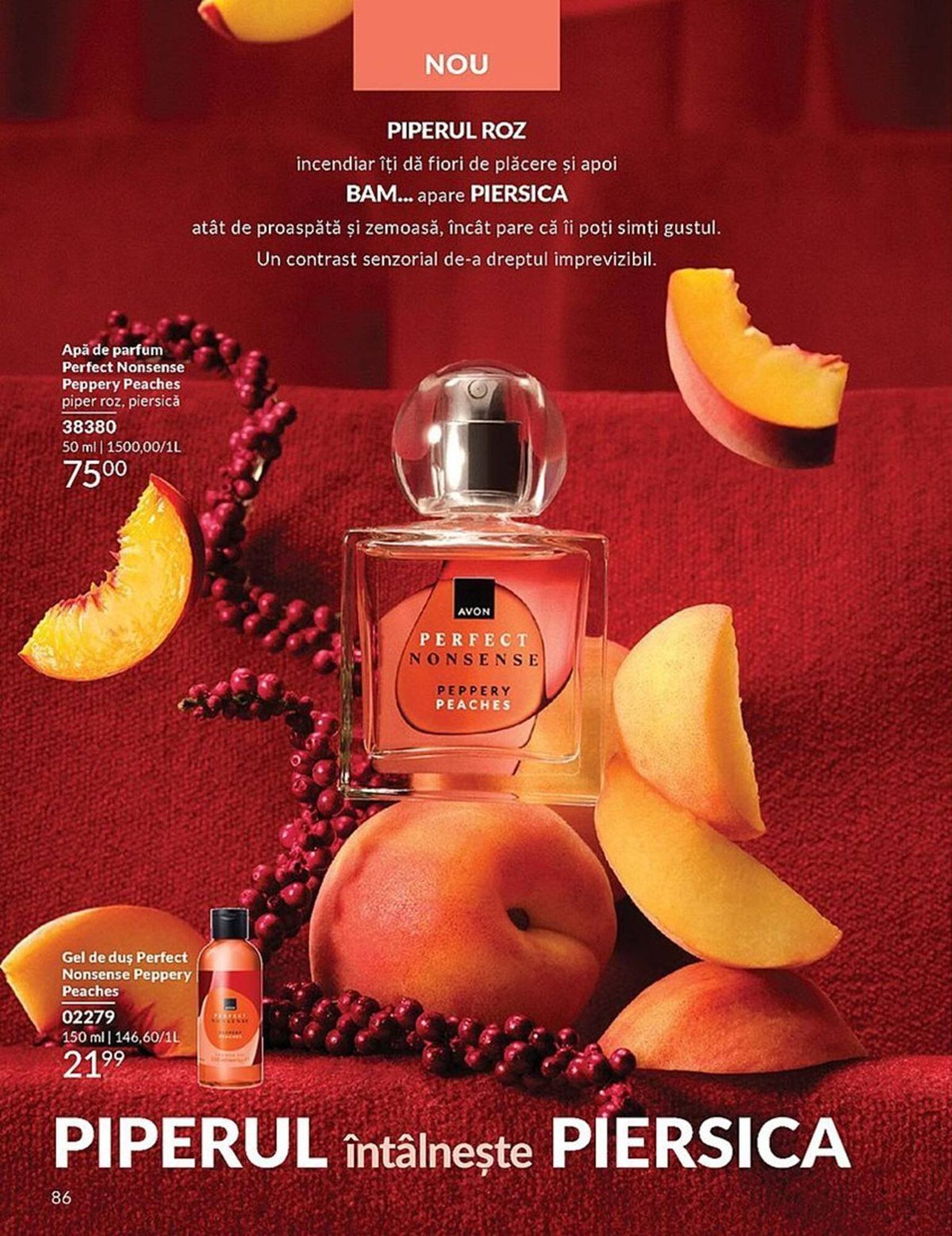 Catalog Avon
