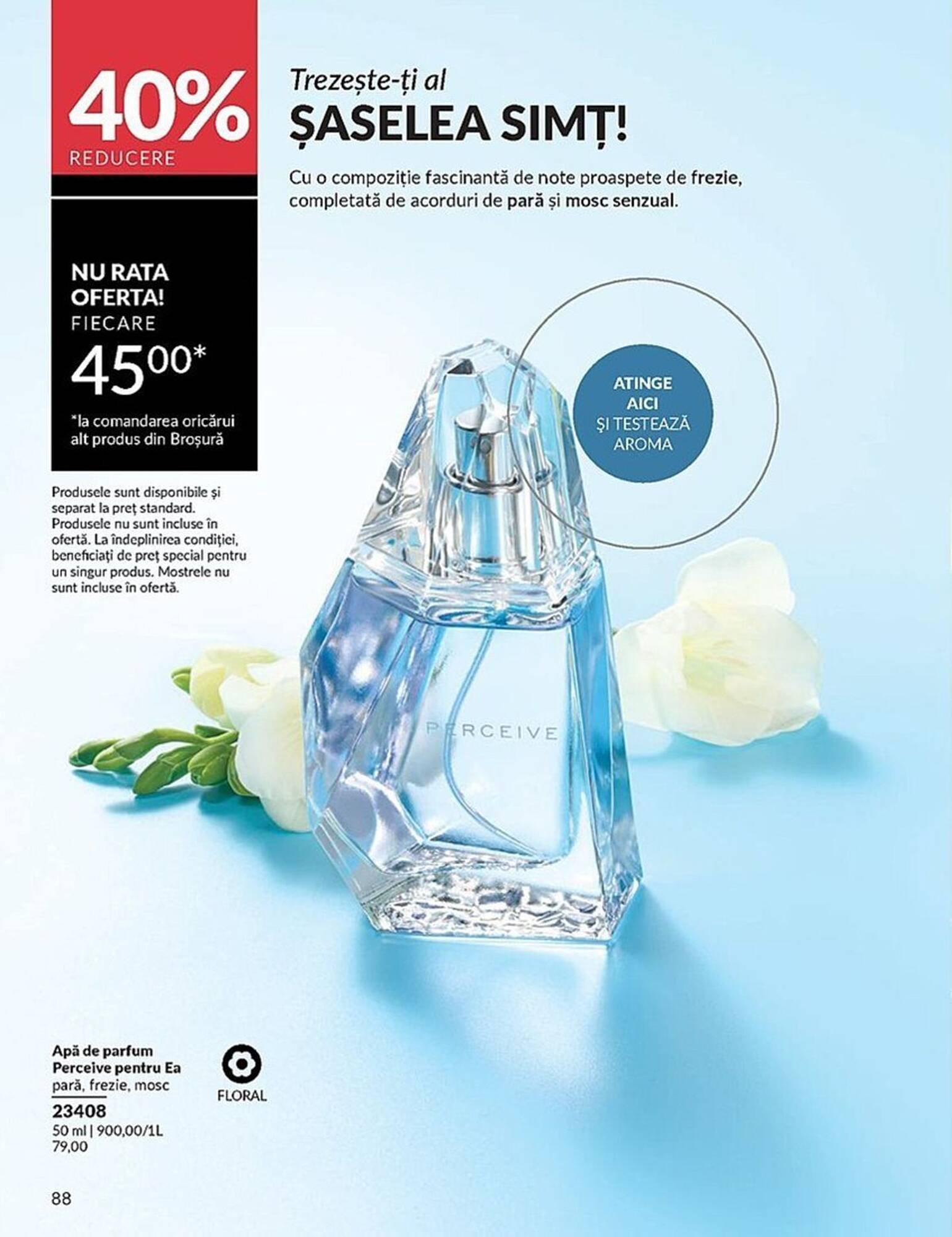 Catalog Avon