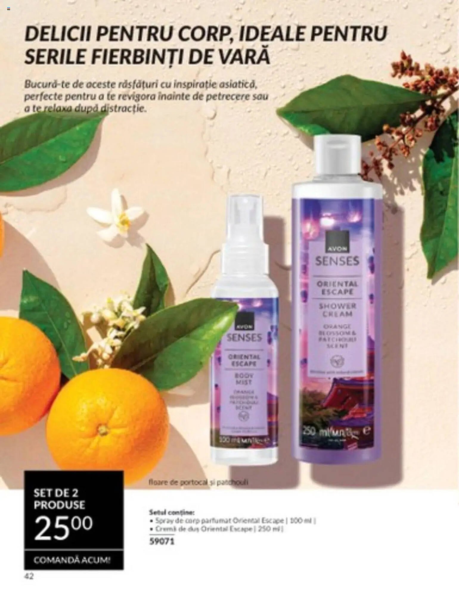 Catalog Avon