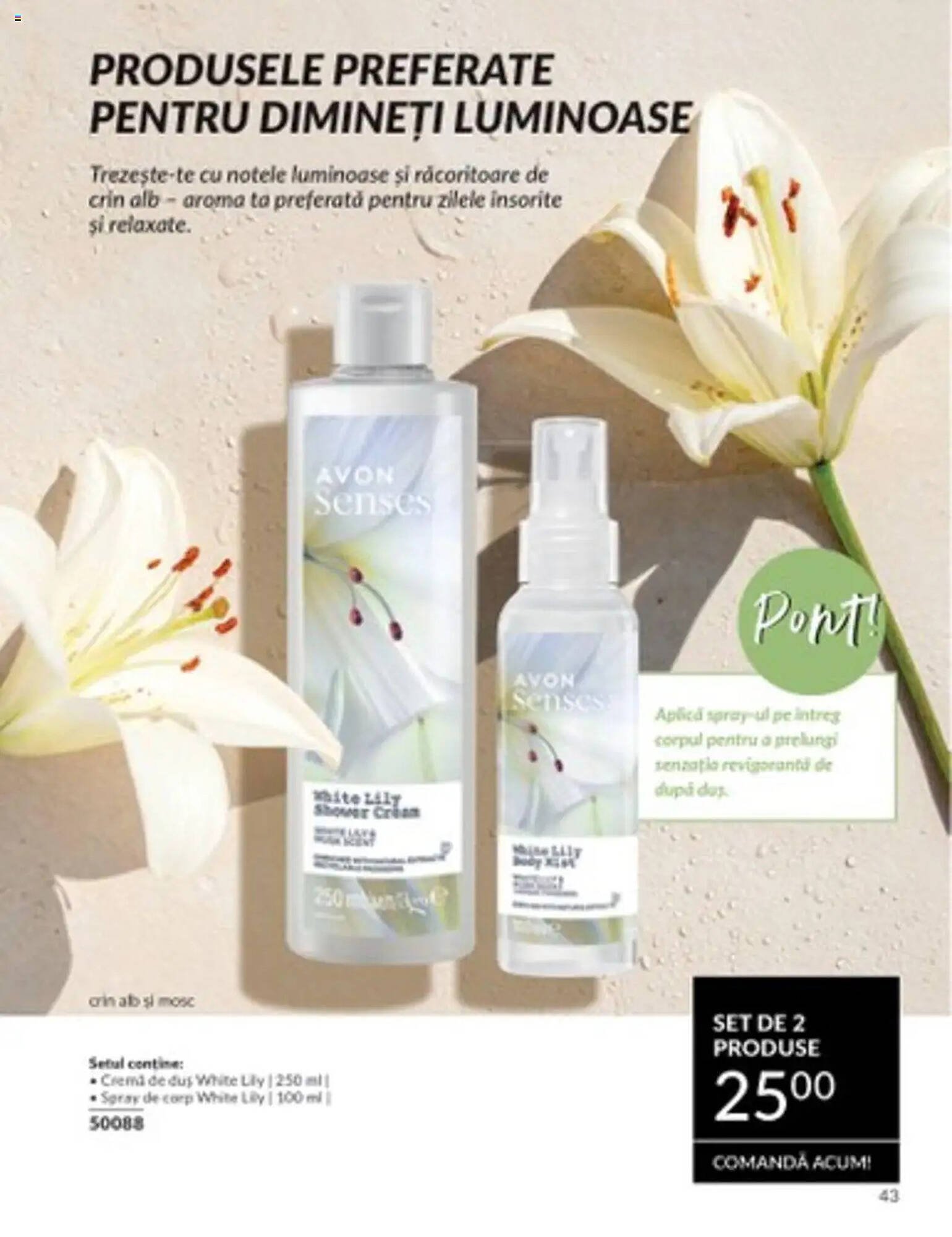 Catalog Avon