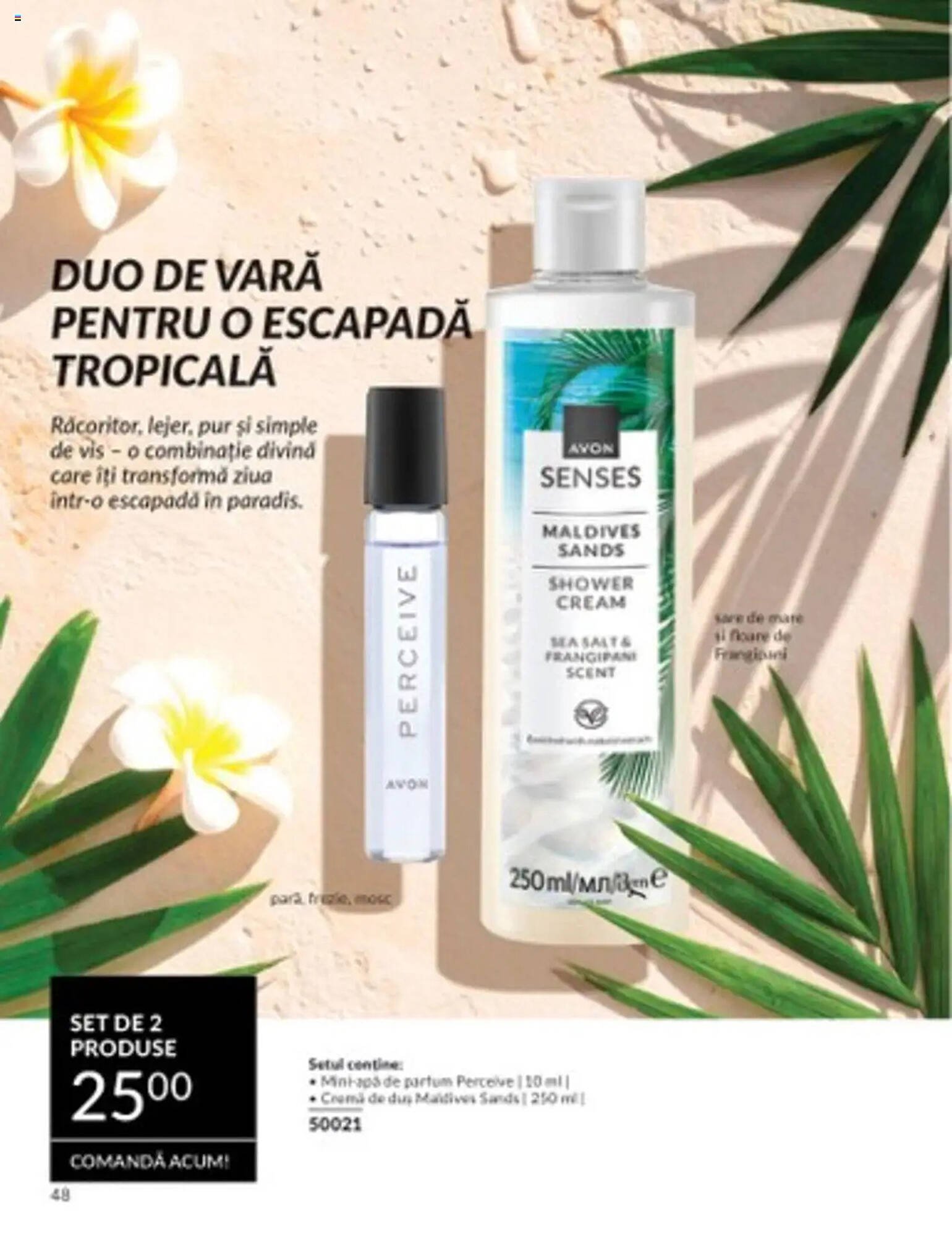 Catalog Avon