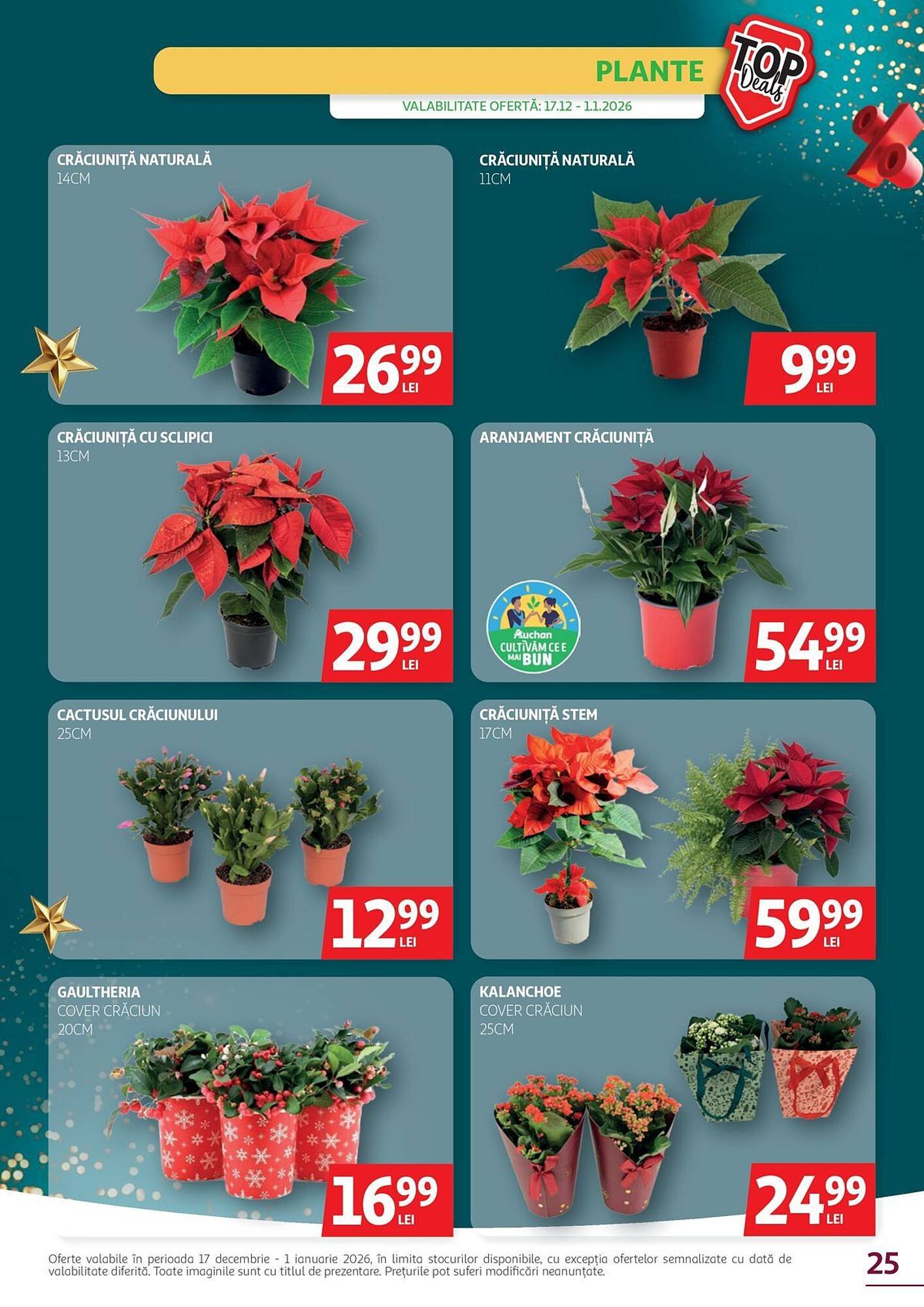 Catalog Auchan