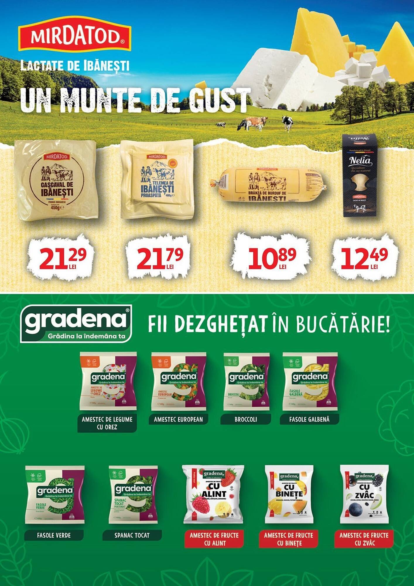 Catalog Auchan