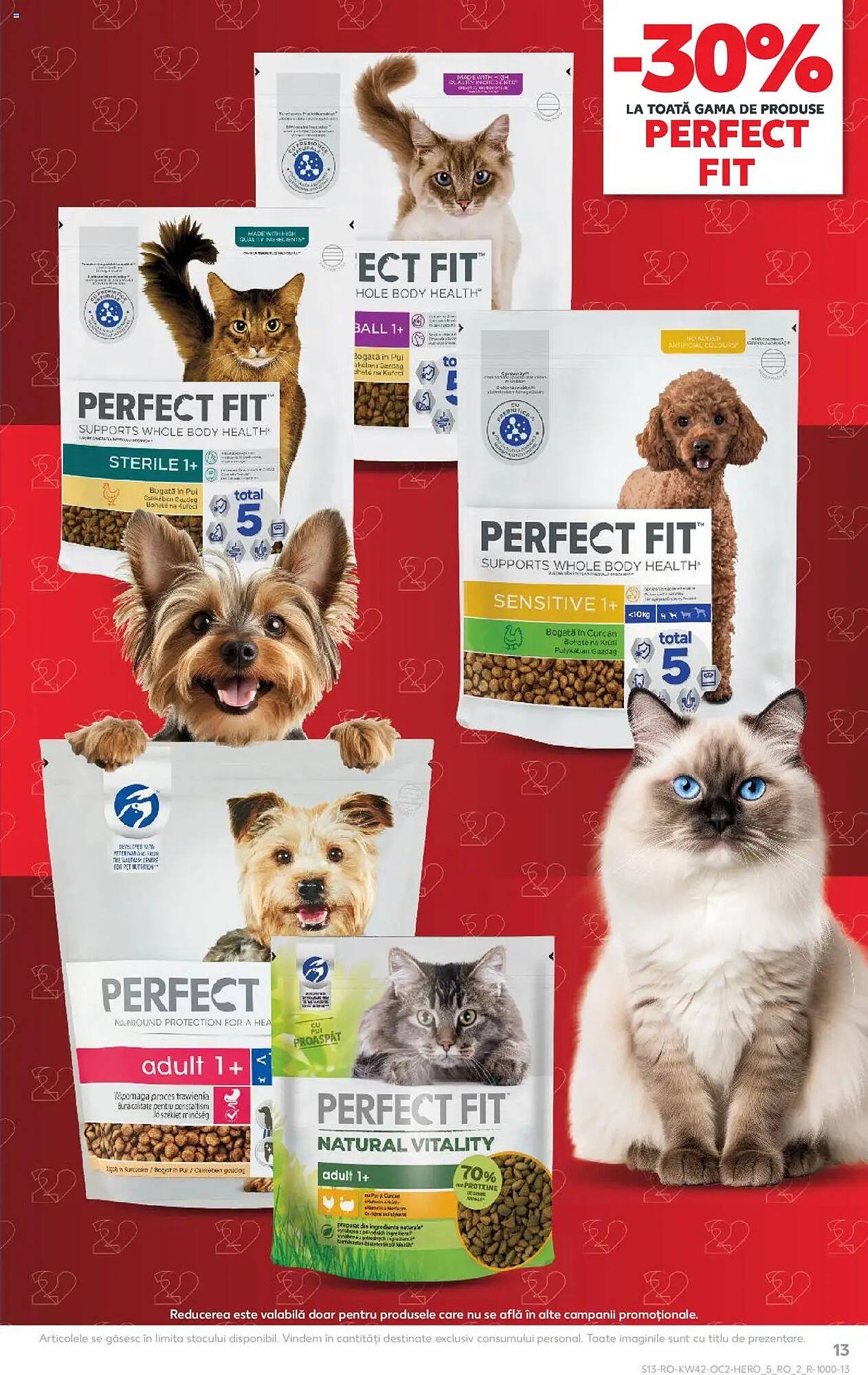 Catalog Kaufland