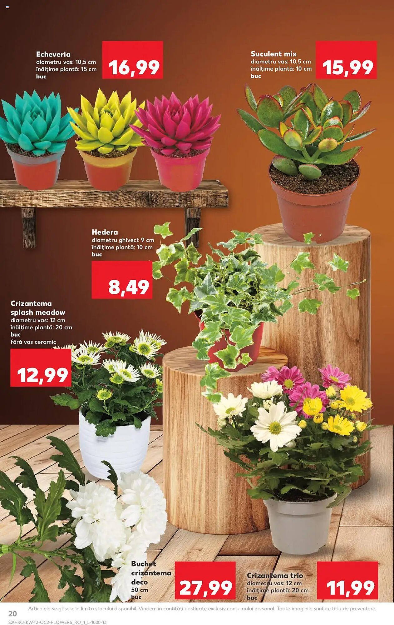 Catalog Kaufland