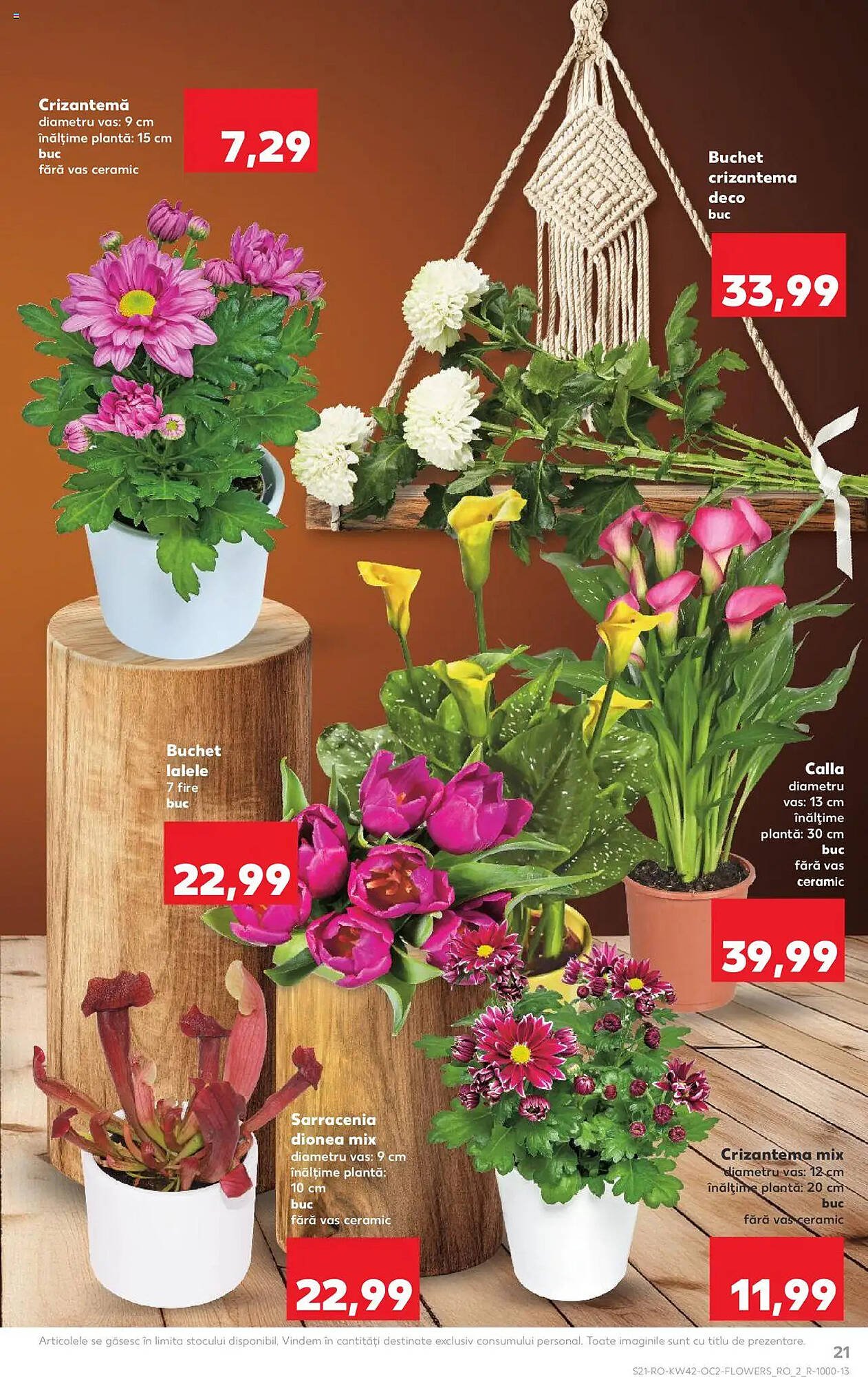 Catalog Kaufland