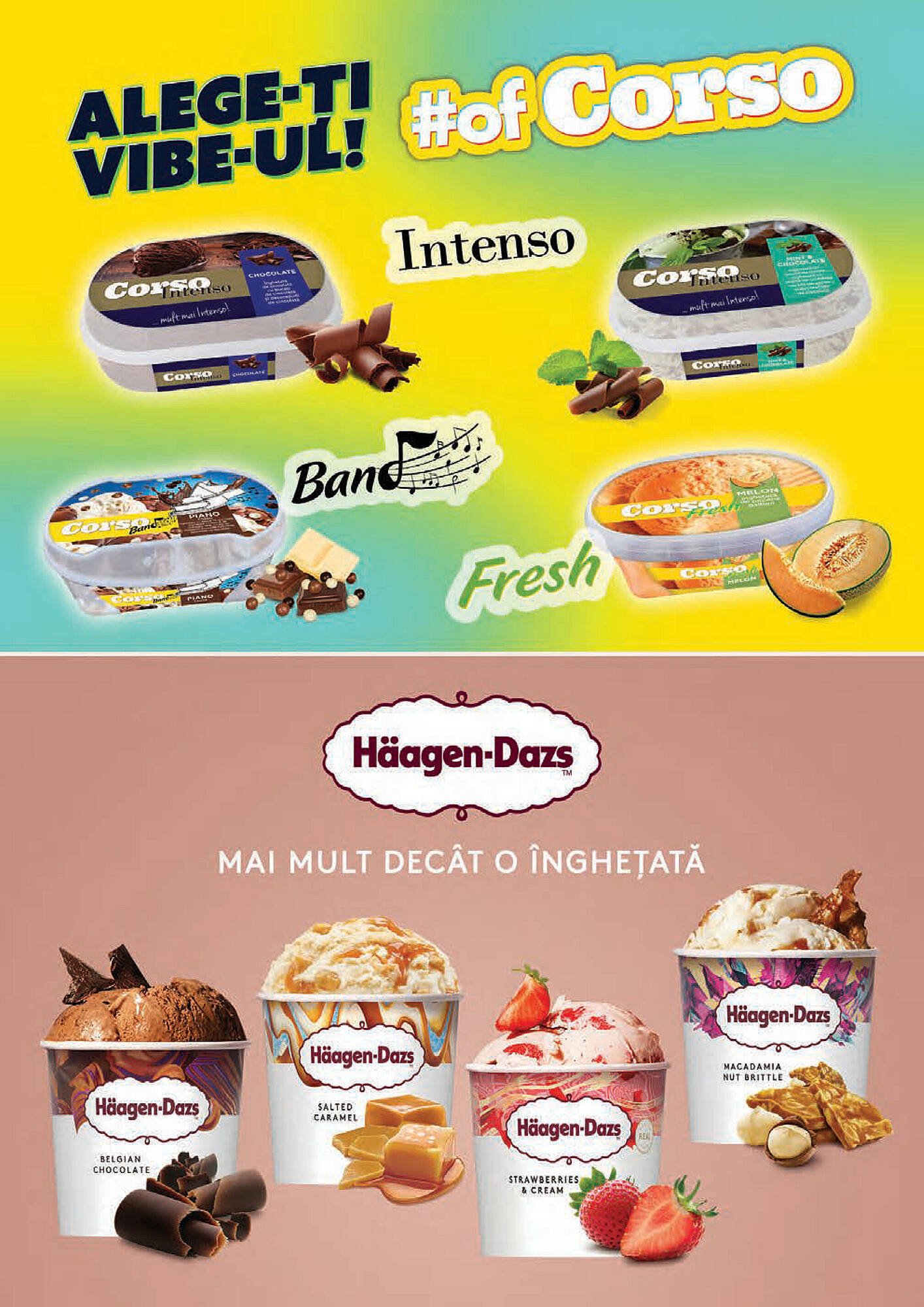 Catalog Mega Image