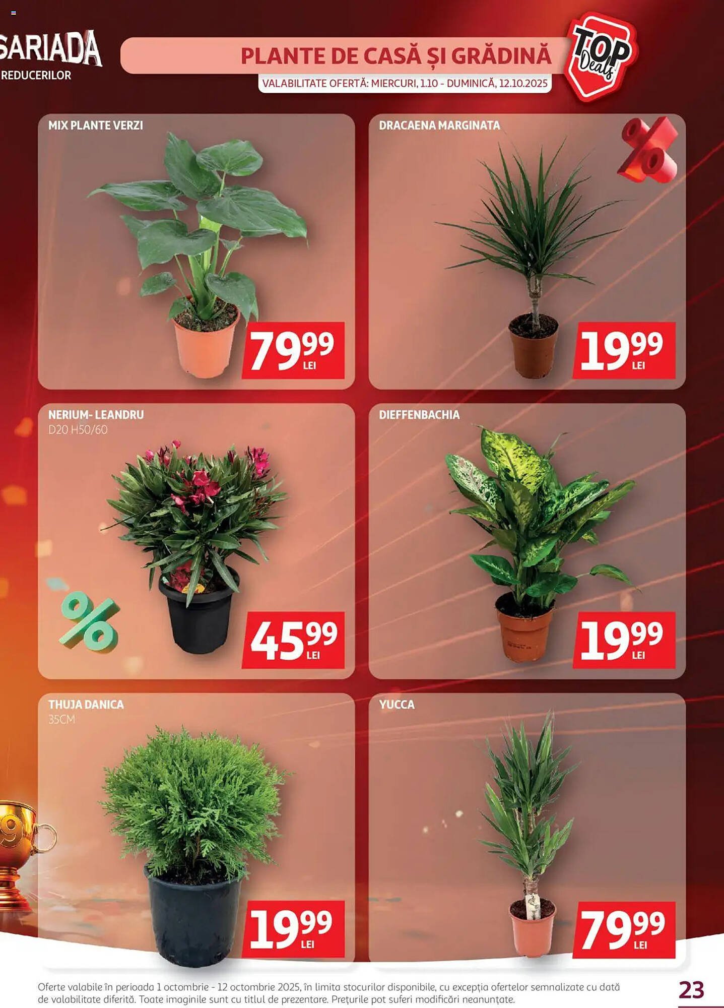 Catalog Auchan