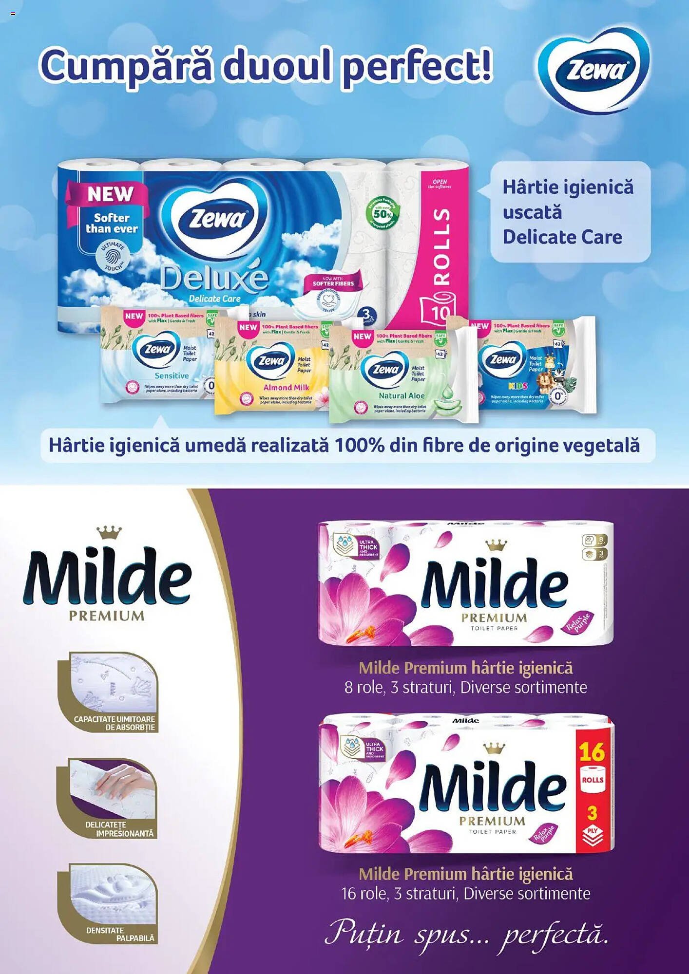 Catalog Auchan