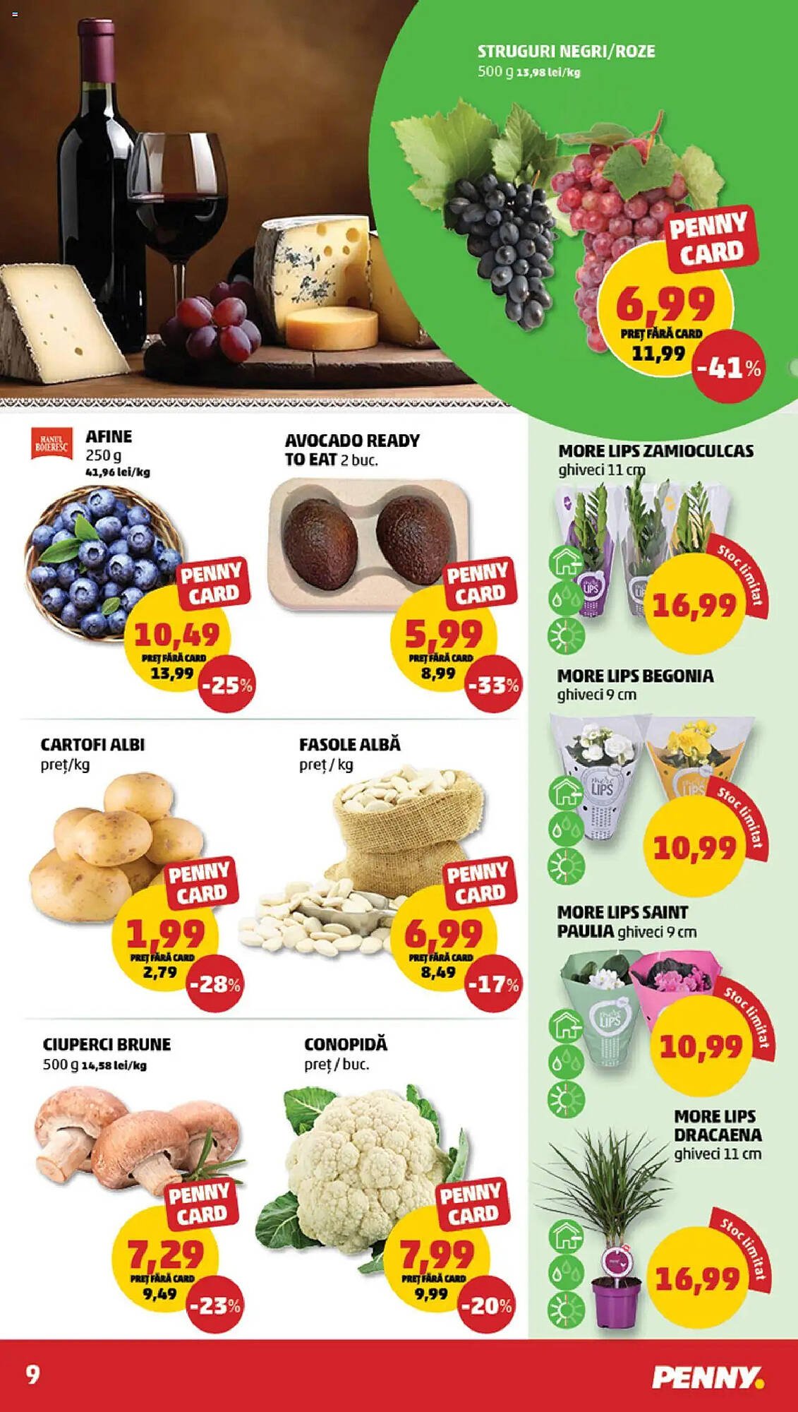 Catalog Penny