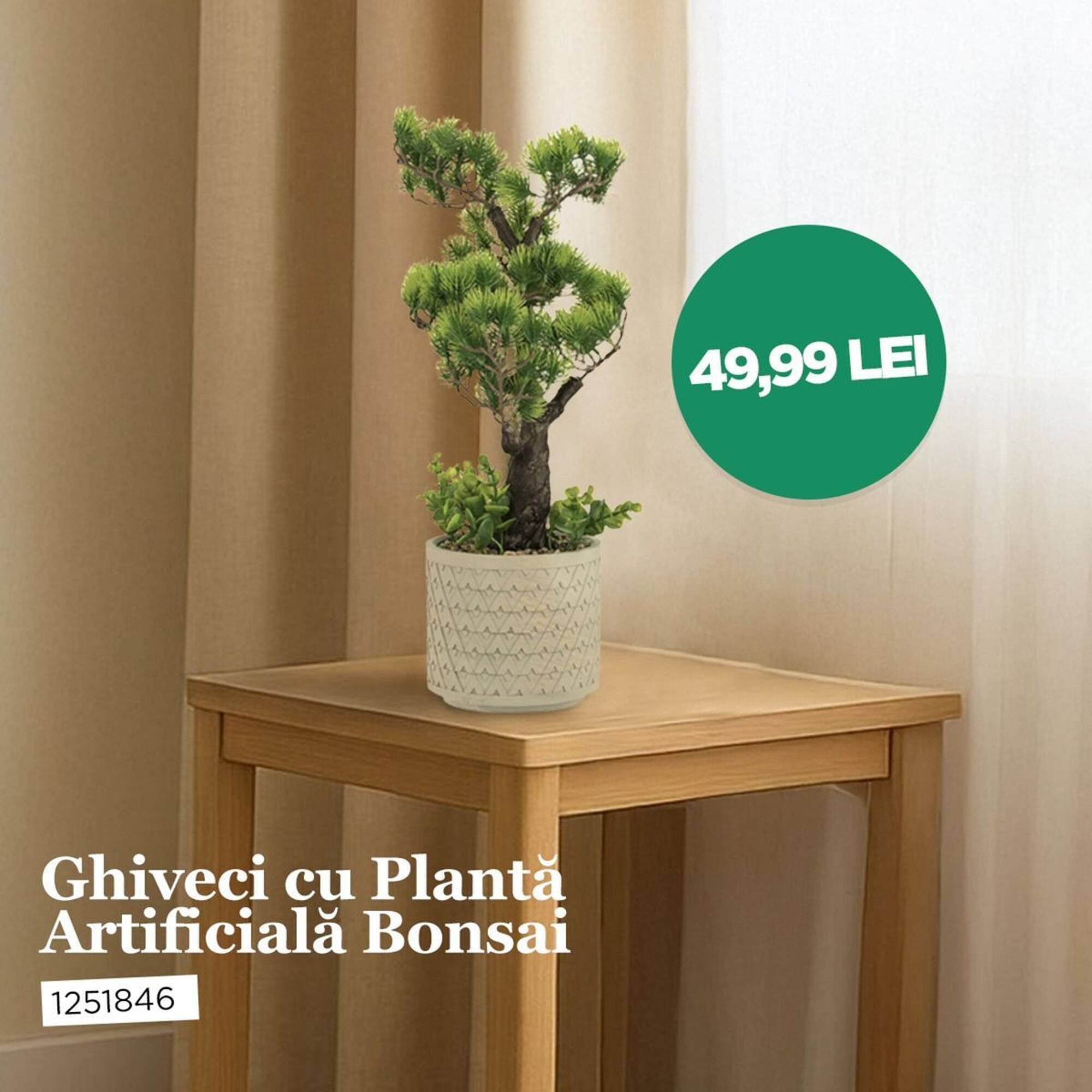 Catalog Jumbo