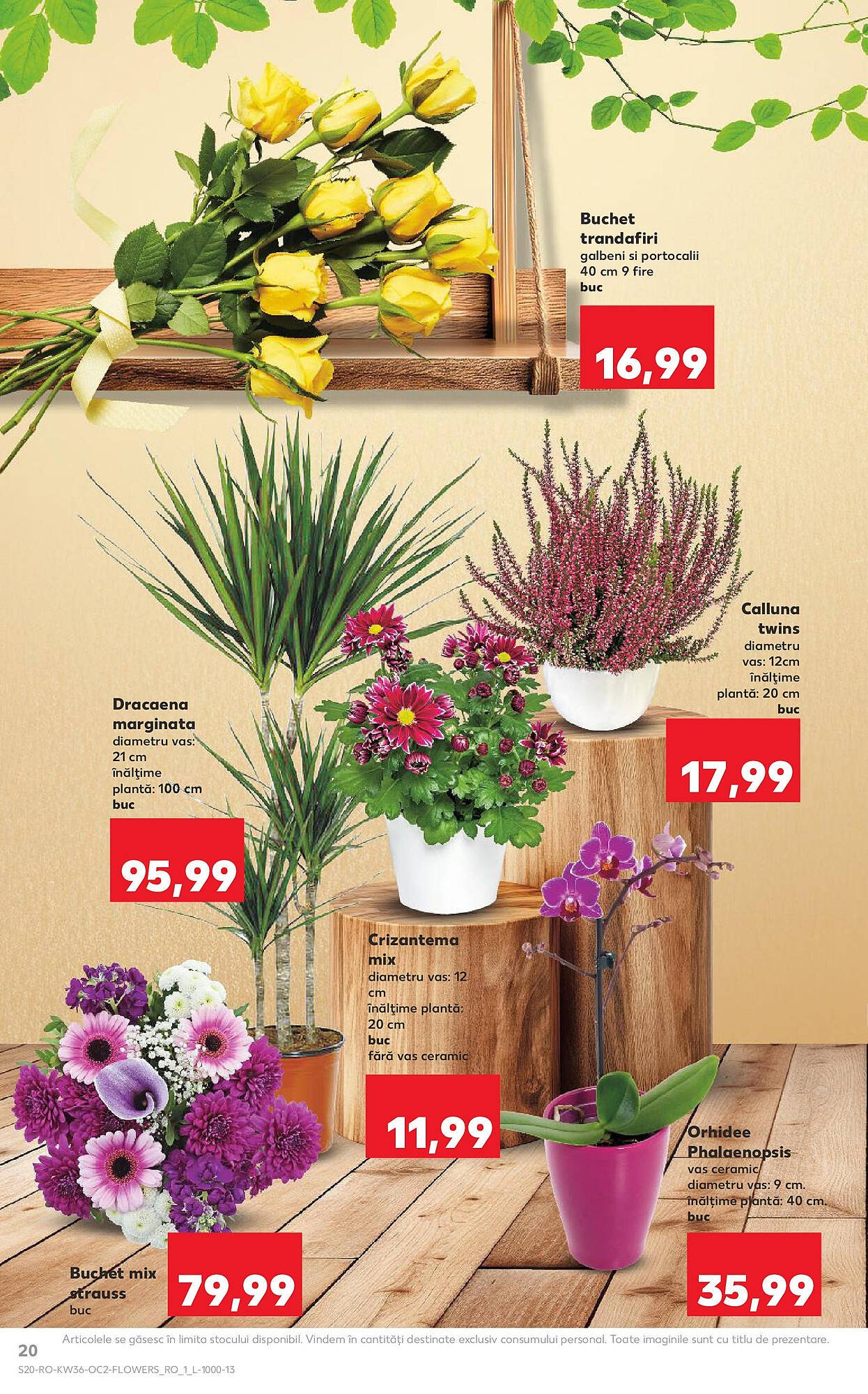 Catalog Kaufland