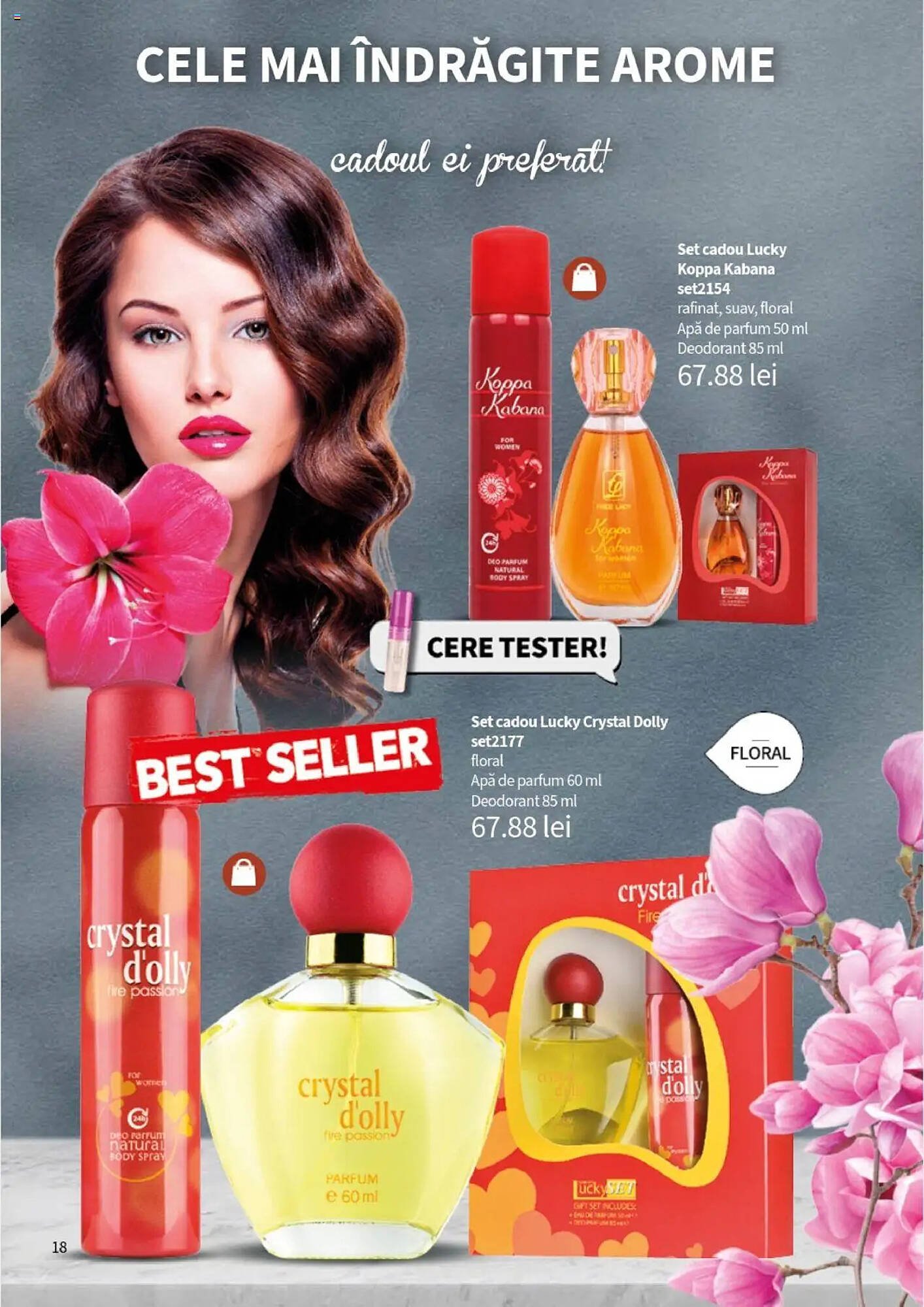 Catalog Lady’s