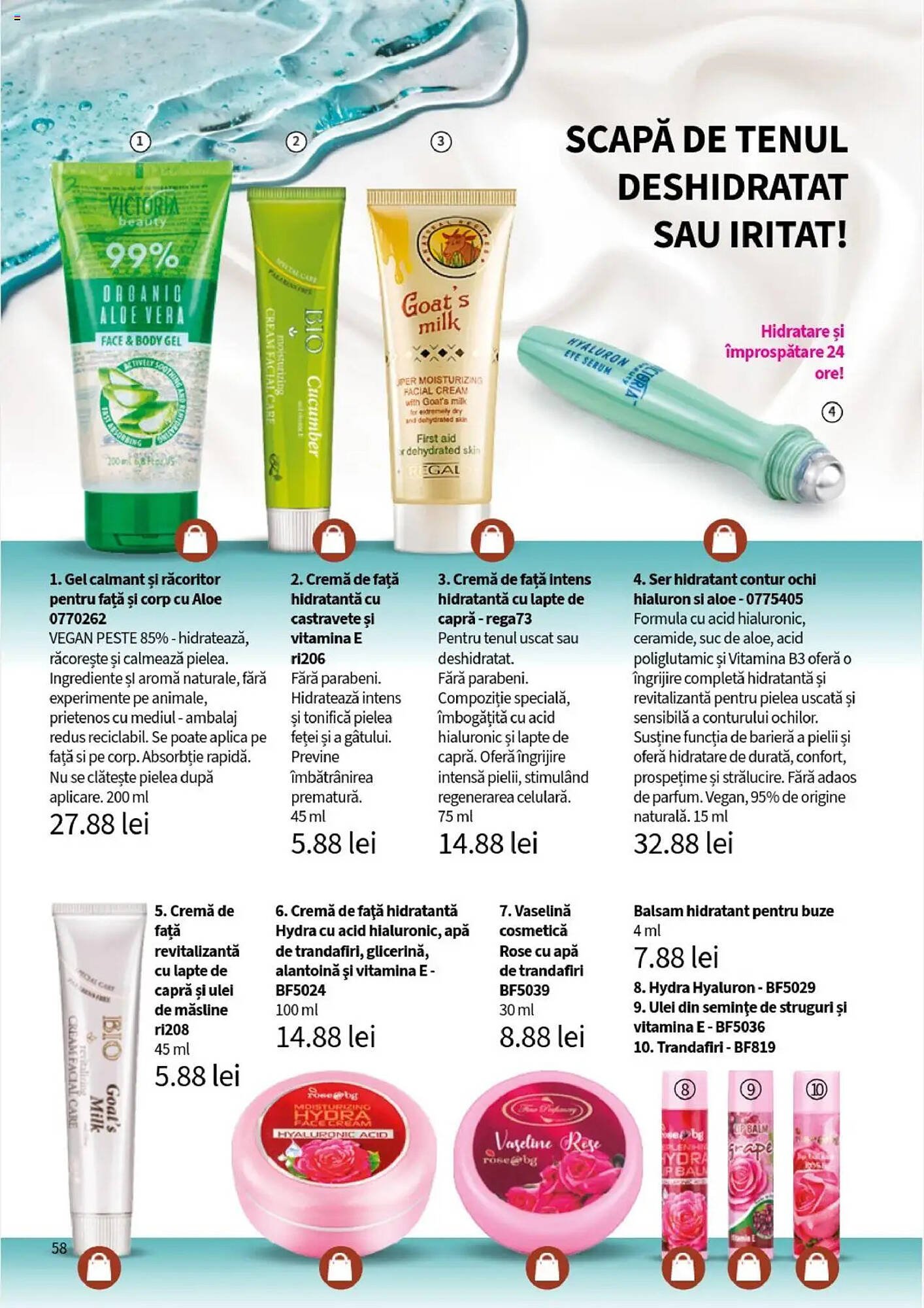 Catalog Lady’s