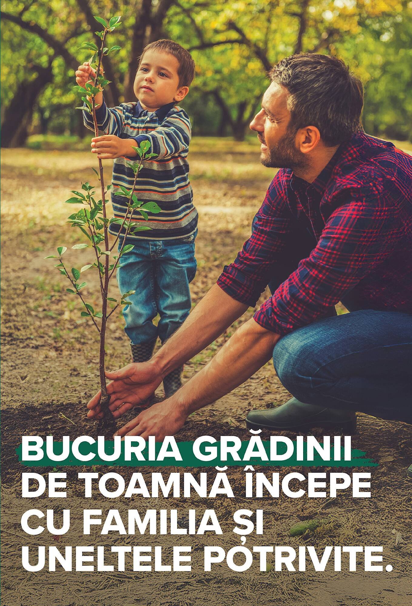 Catalog Carrefour