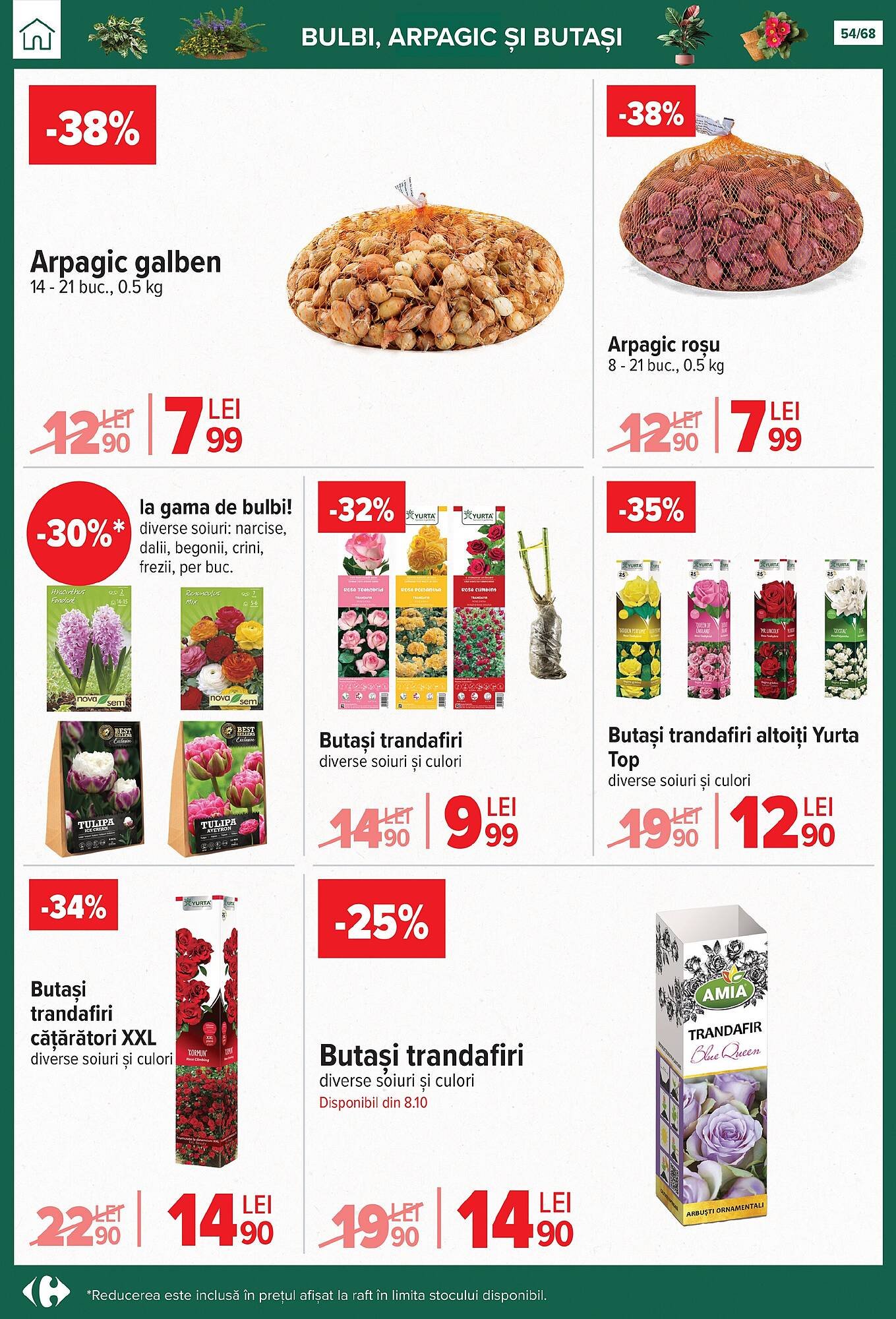 Catalog Carrefour