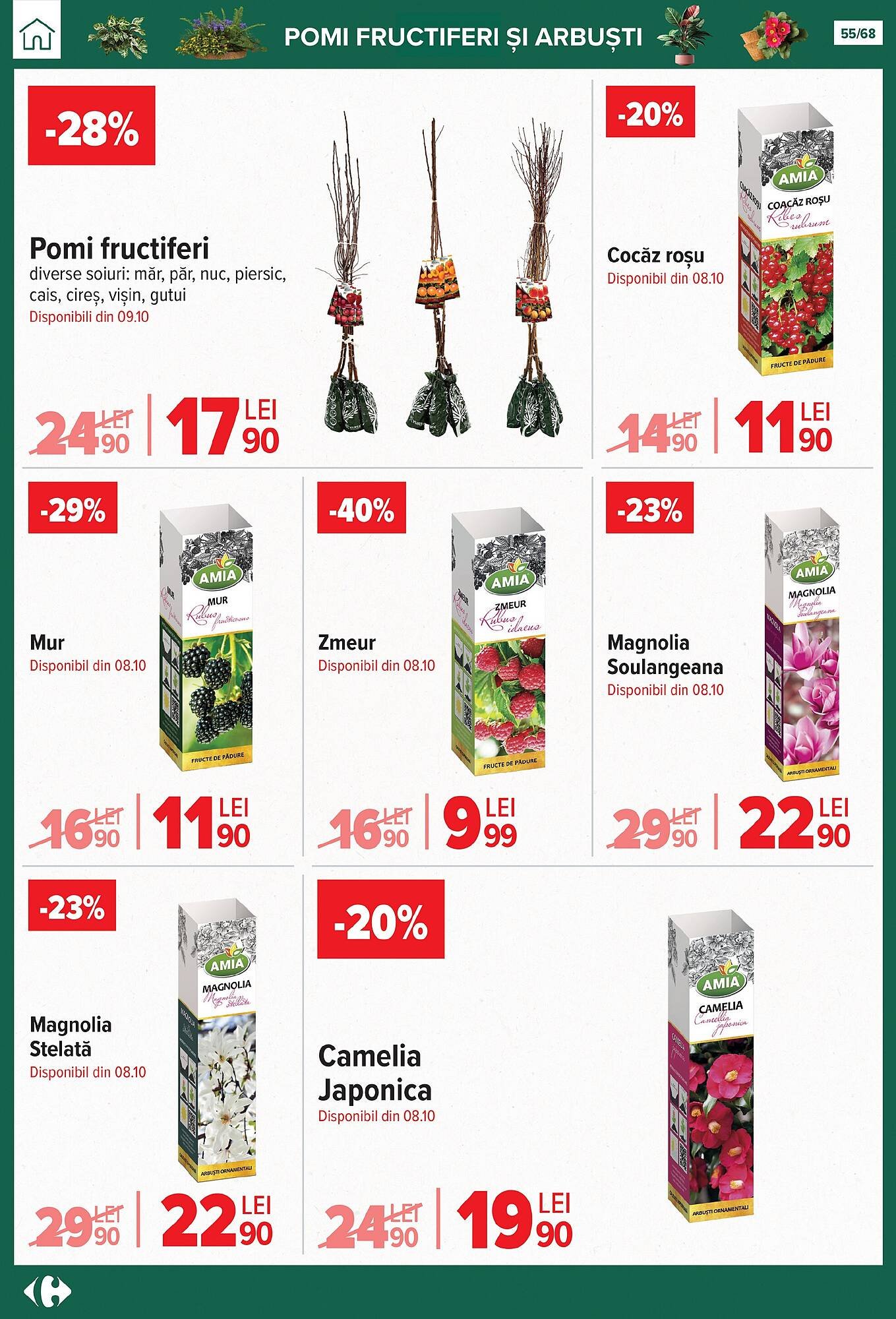 Catalog Carrefour