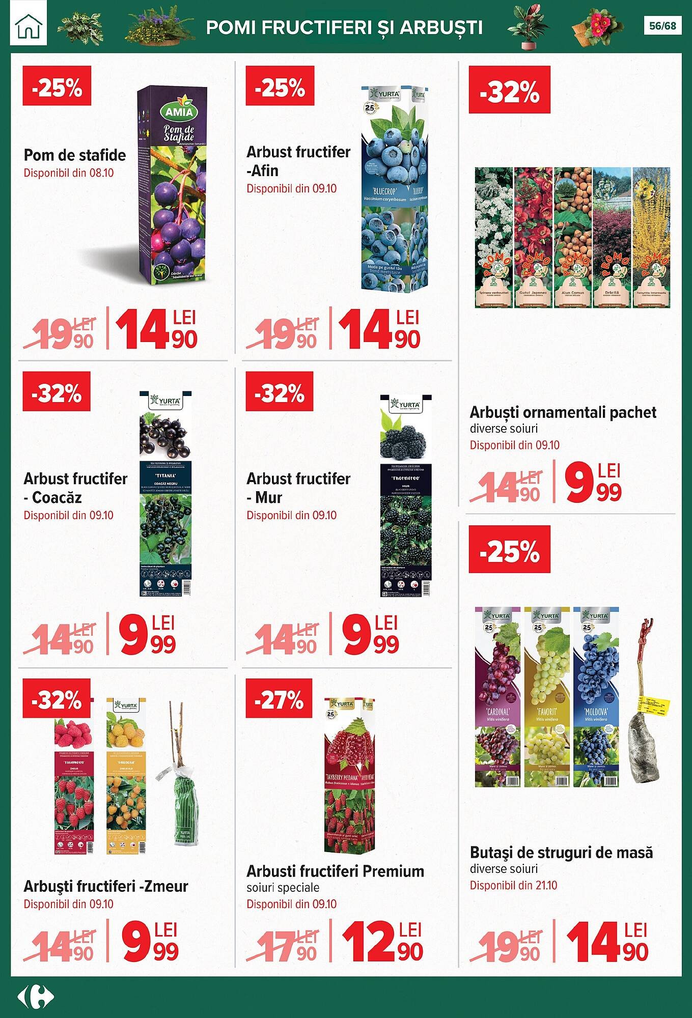 Catalog Carrefour