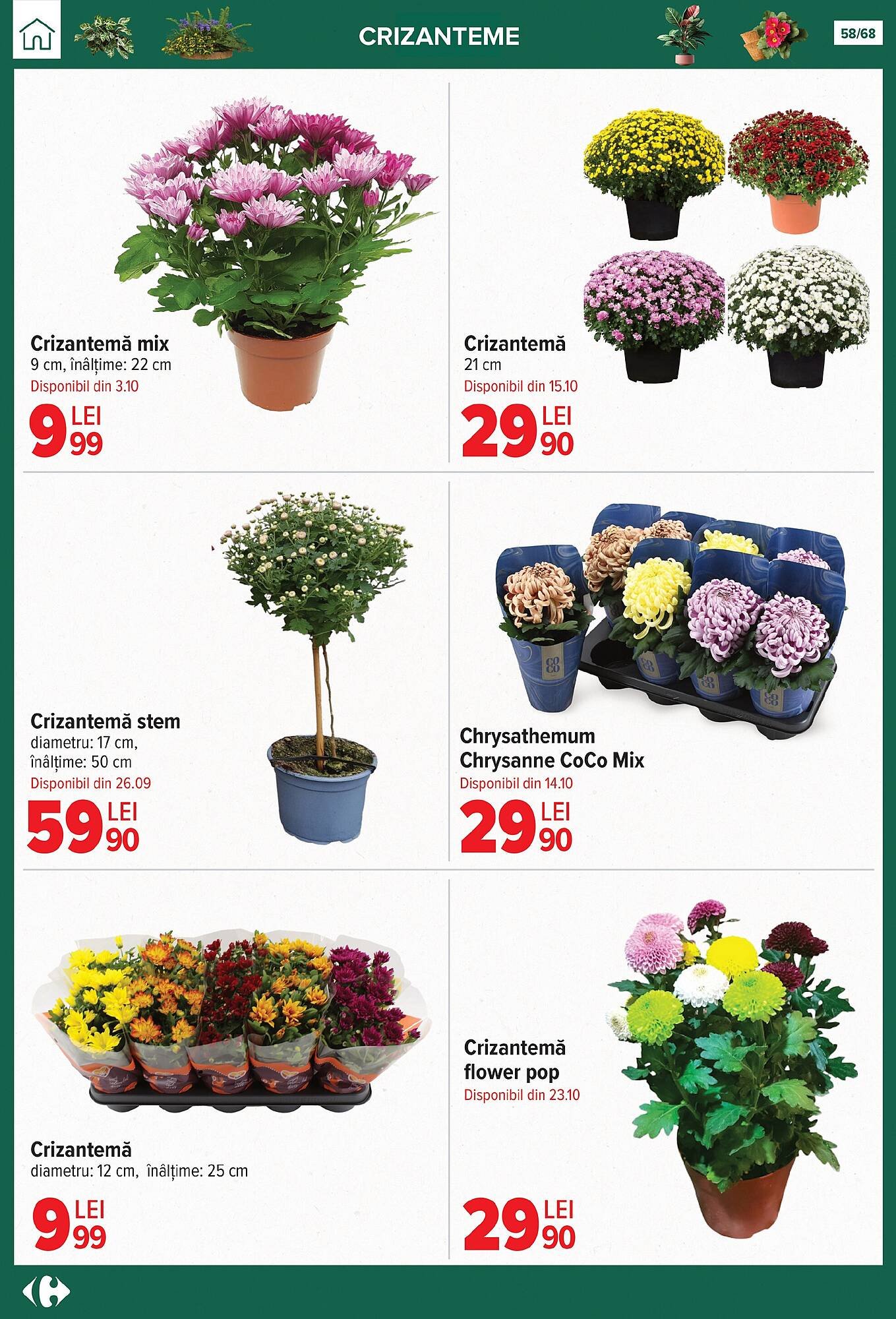 Catalog Carrefour