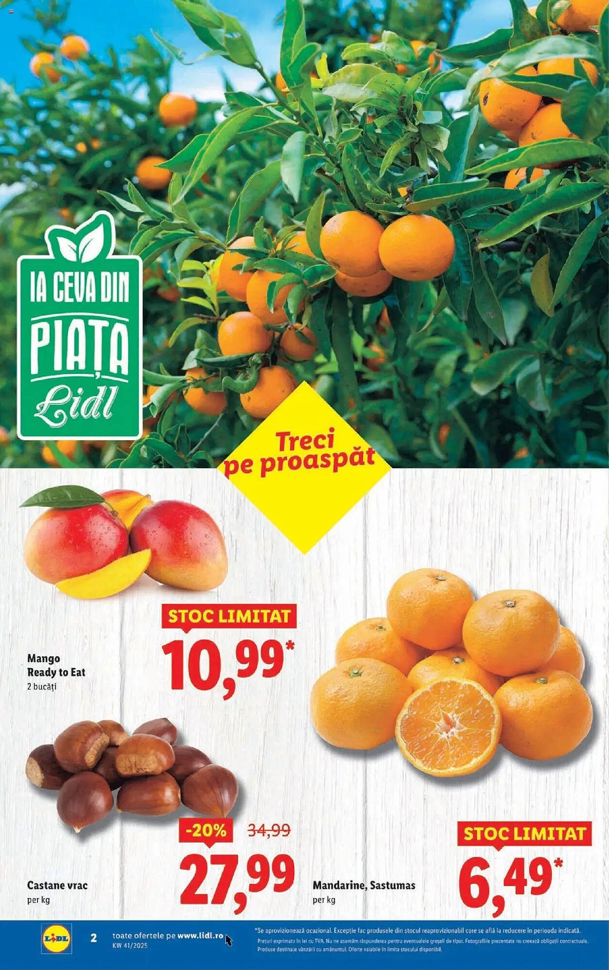 Catalog Lidl