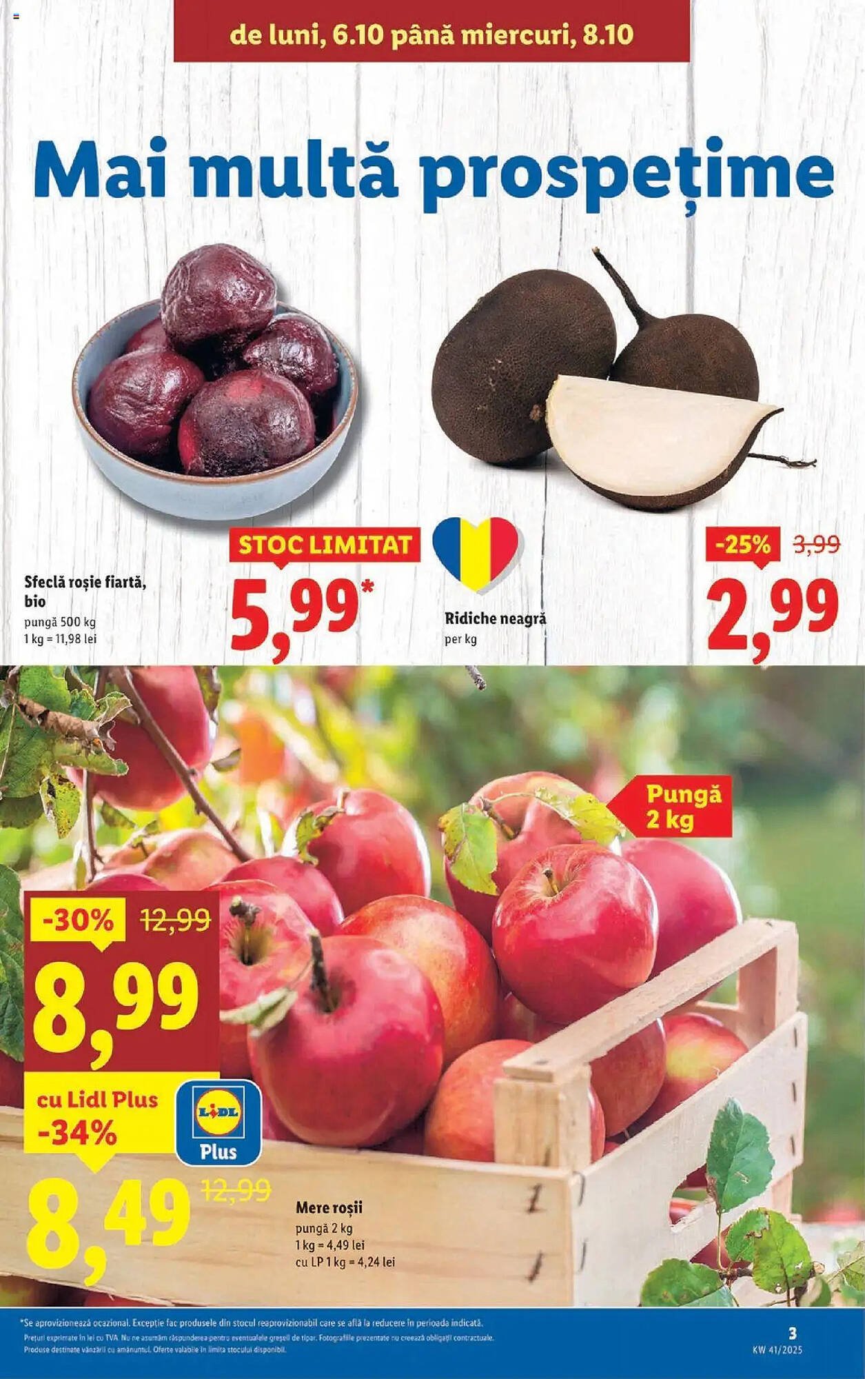 Catalog Lidl