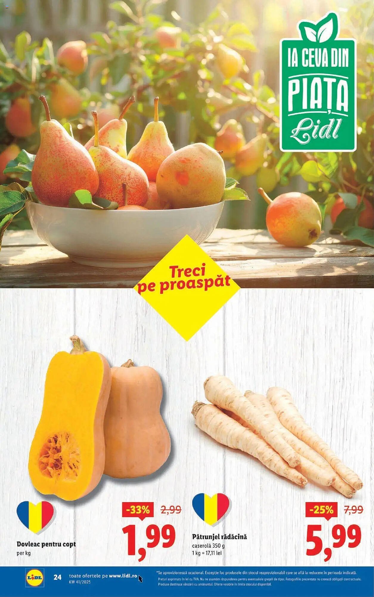 Catalog Lidl