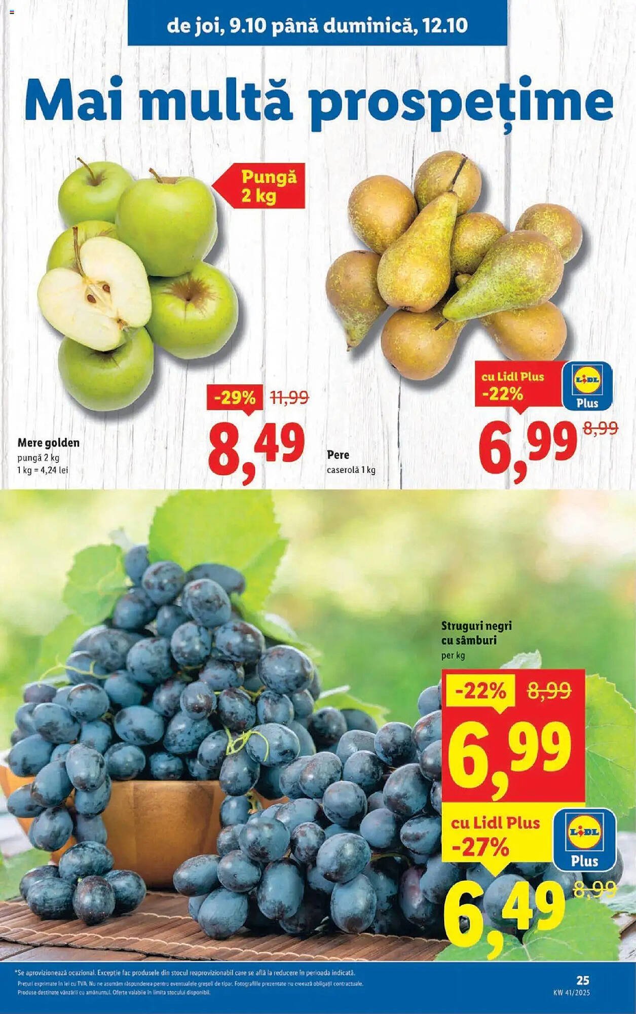 Catalog Lidl